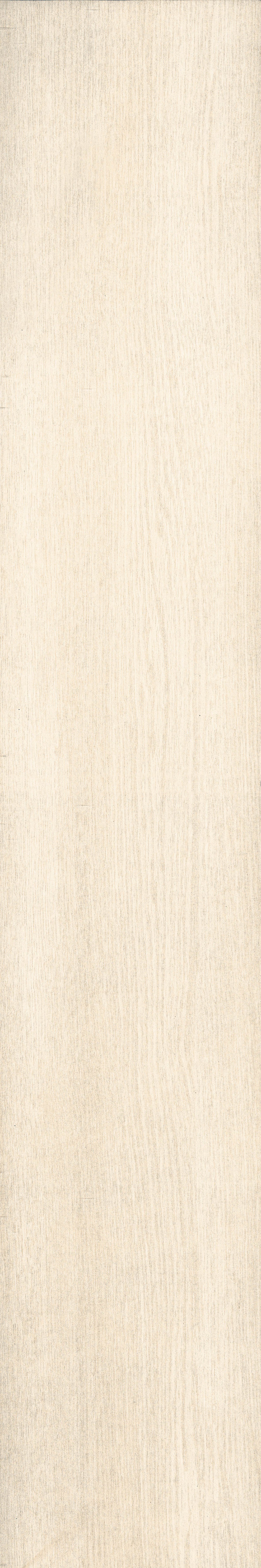 Chevalier+Ivory+%285%29.jpg