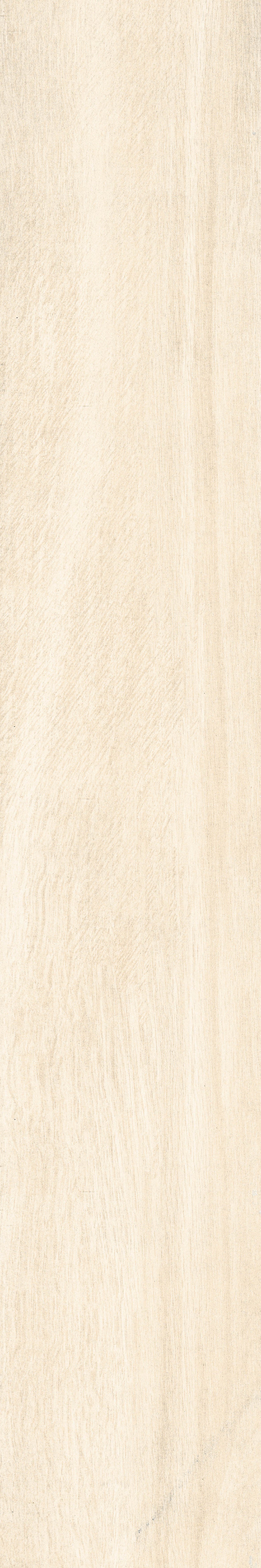 Chevalier+Ivory+%2816%29.jpg