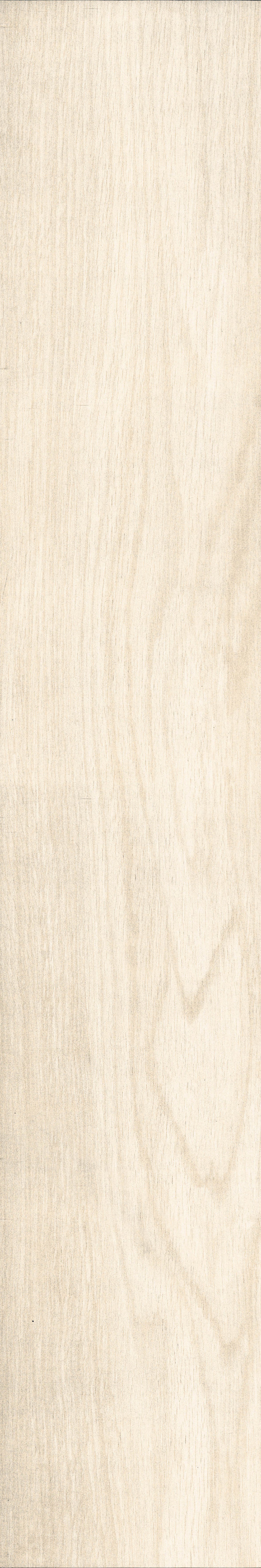 Chevalier+Ivory+%287%29.jpg