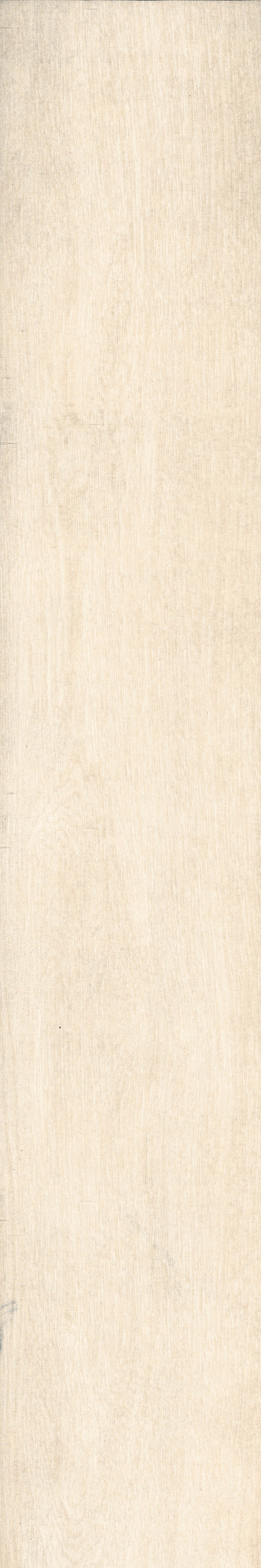 Chevalier+Ivory+%286%29.jpg