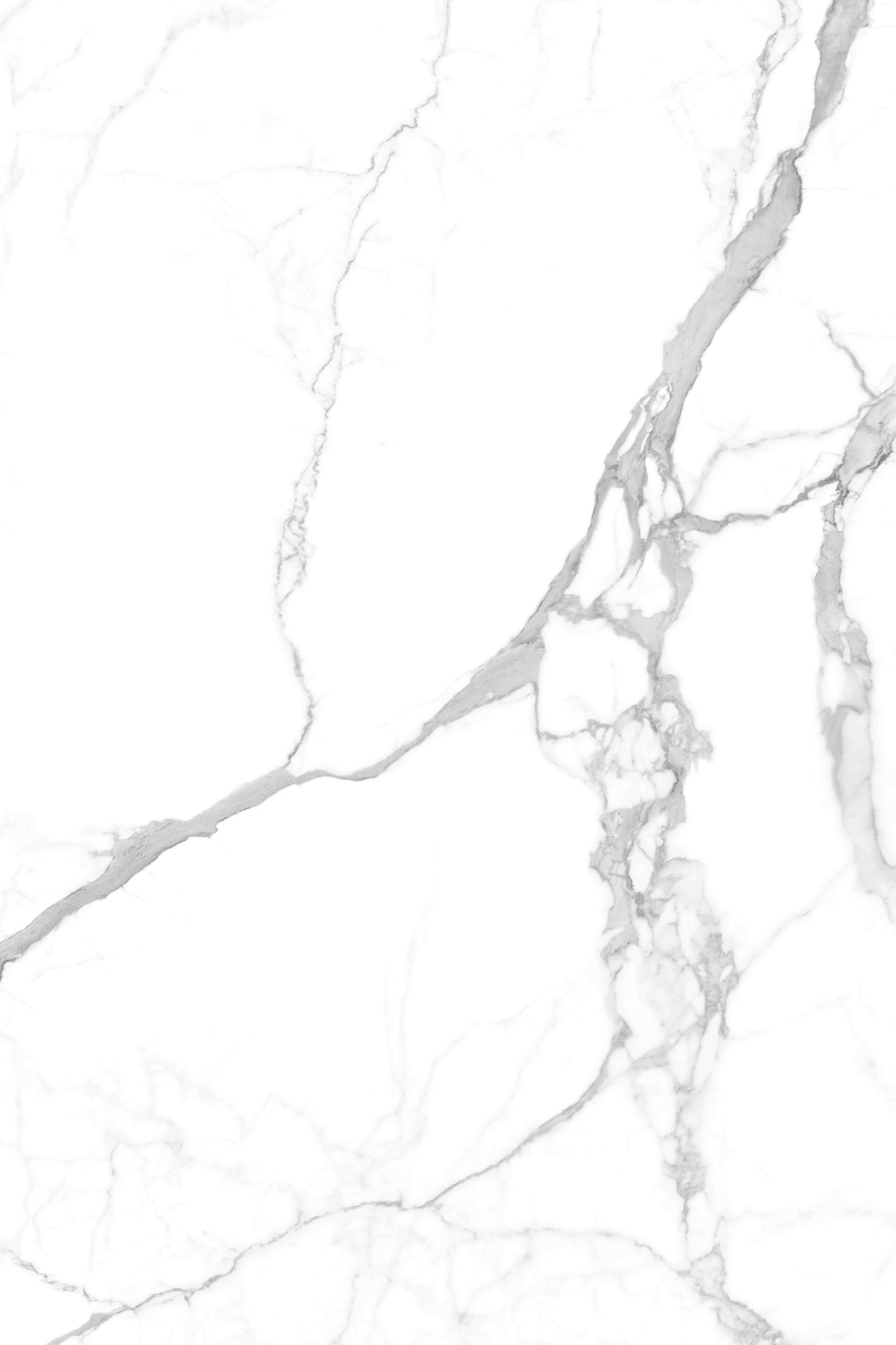 Statuario+Classico+White+%283%29.jpg