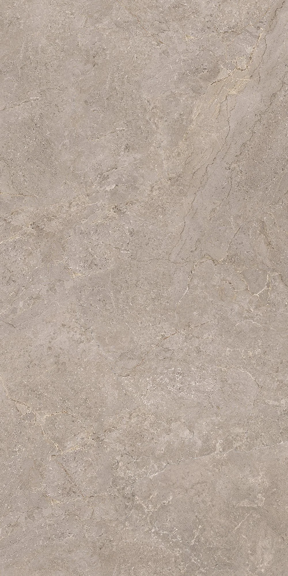 Solaire+Gris+%284%29.jpg