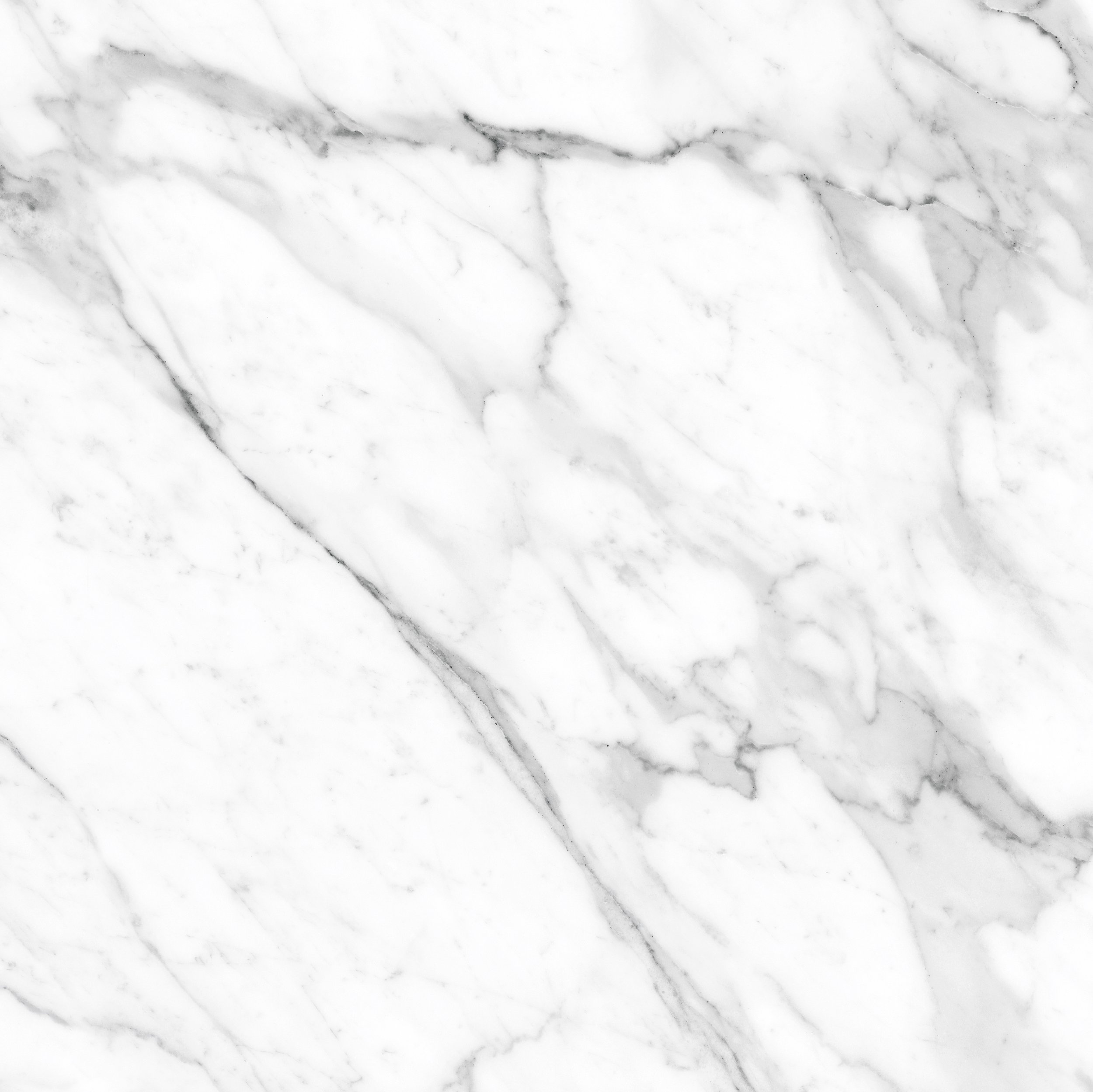 La+Roma+White+%28600x600%29+%282%29.jpg
