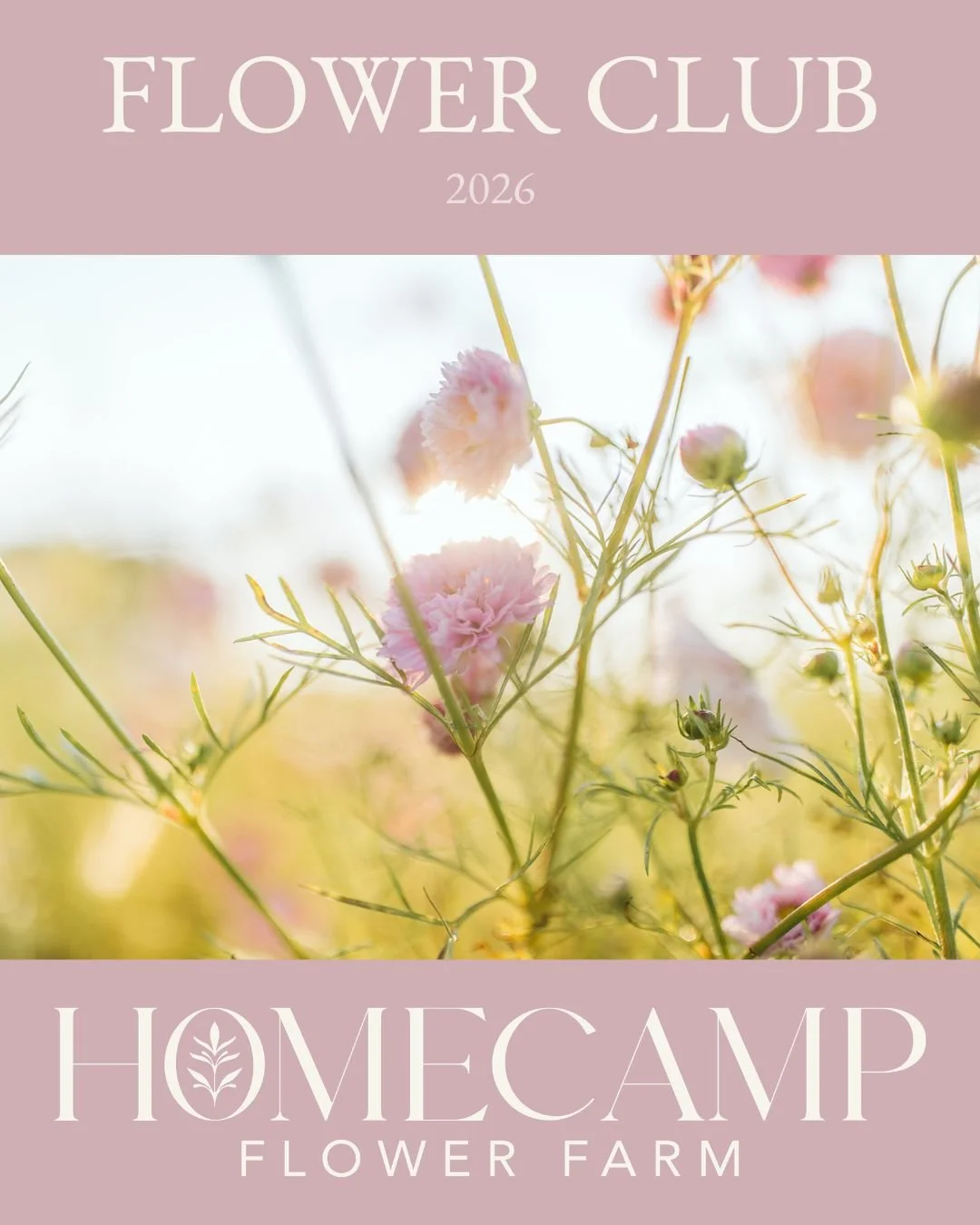 Flower Club (3).jpg