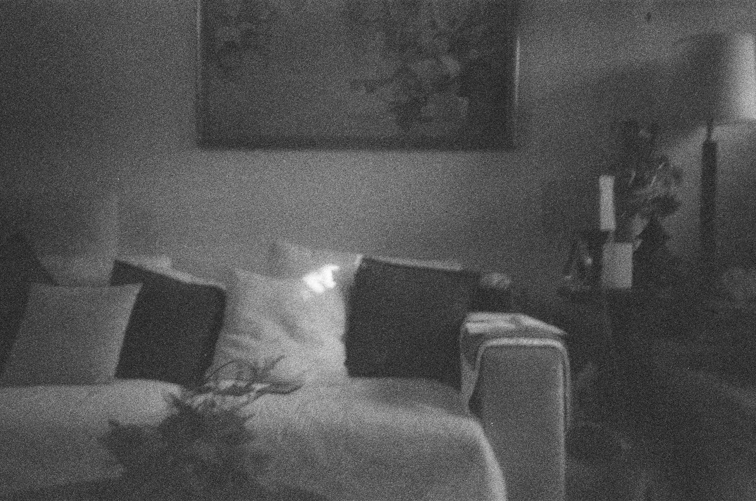 ROLL #2 - SHOT #36.jpg