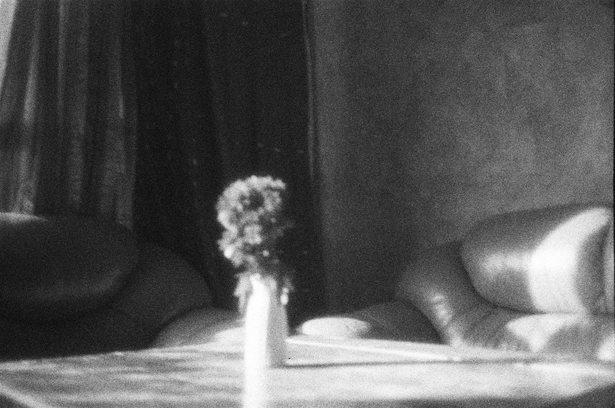 ROLL #2 - SHOT #12.jpg