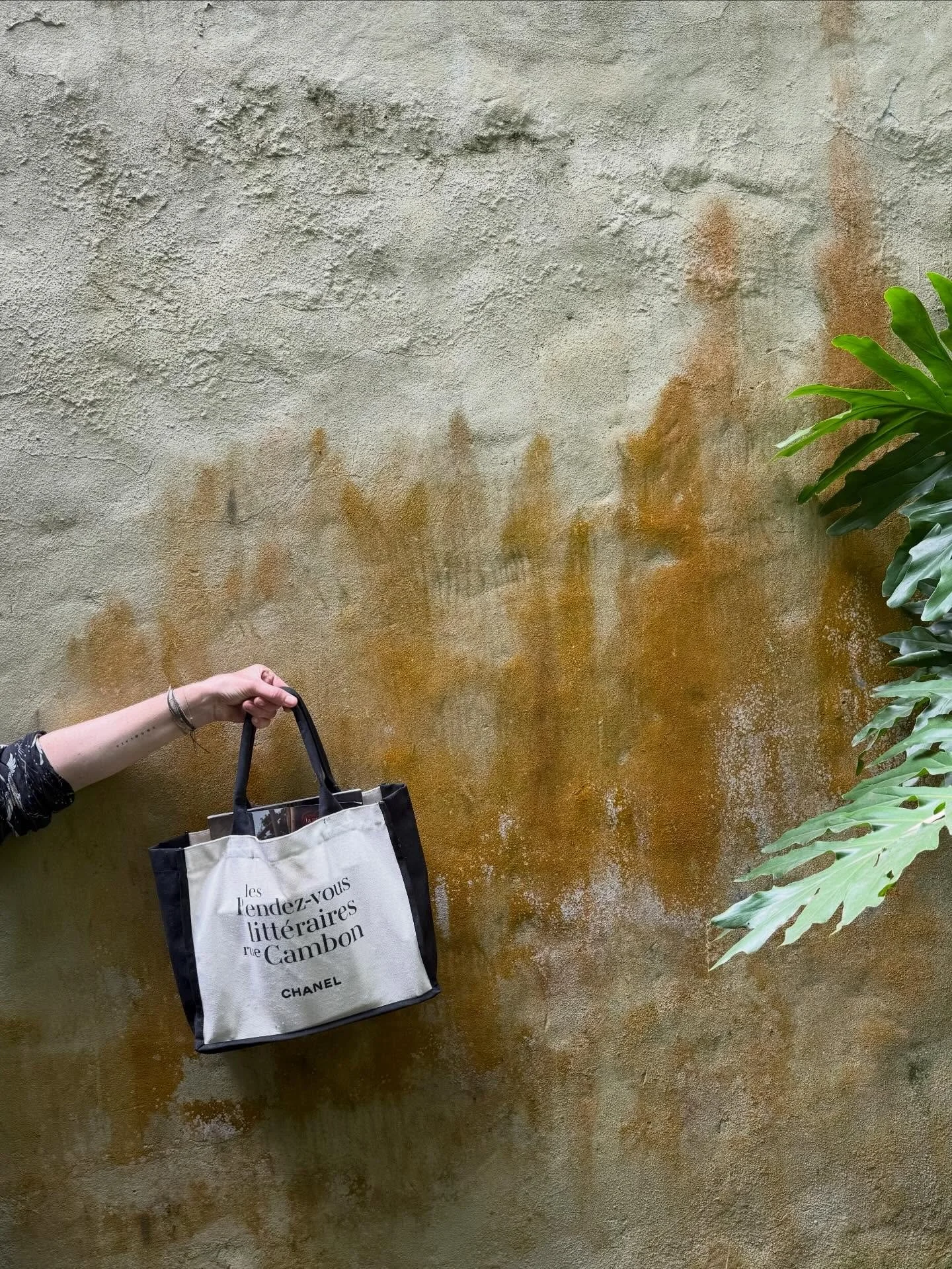 M u r o s  q u e  h a b l a n

Otra de mis bibliotecas port&aacute;tiles favoritas que provoca el tiempo para leer. Desde Ishiguro al erudito Julian Barnes y el irland&eacute;s Conor Jack Creighton conteniendo a la par a Virginia Woolf y alguna exqui