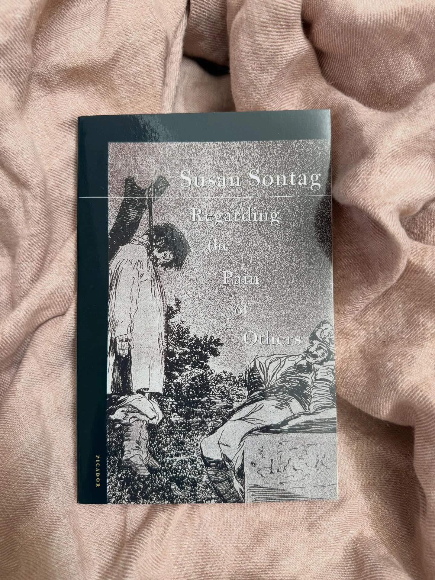 D u e l e  e l  m u n d o

Much&iacute;simo, a veces hasta el ahogo.
Susan Sontag me ayuda a respirar.