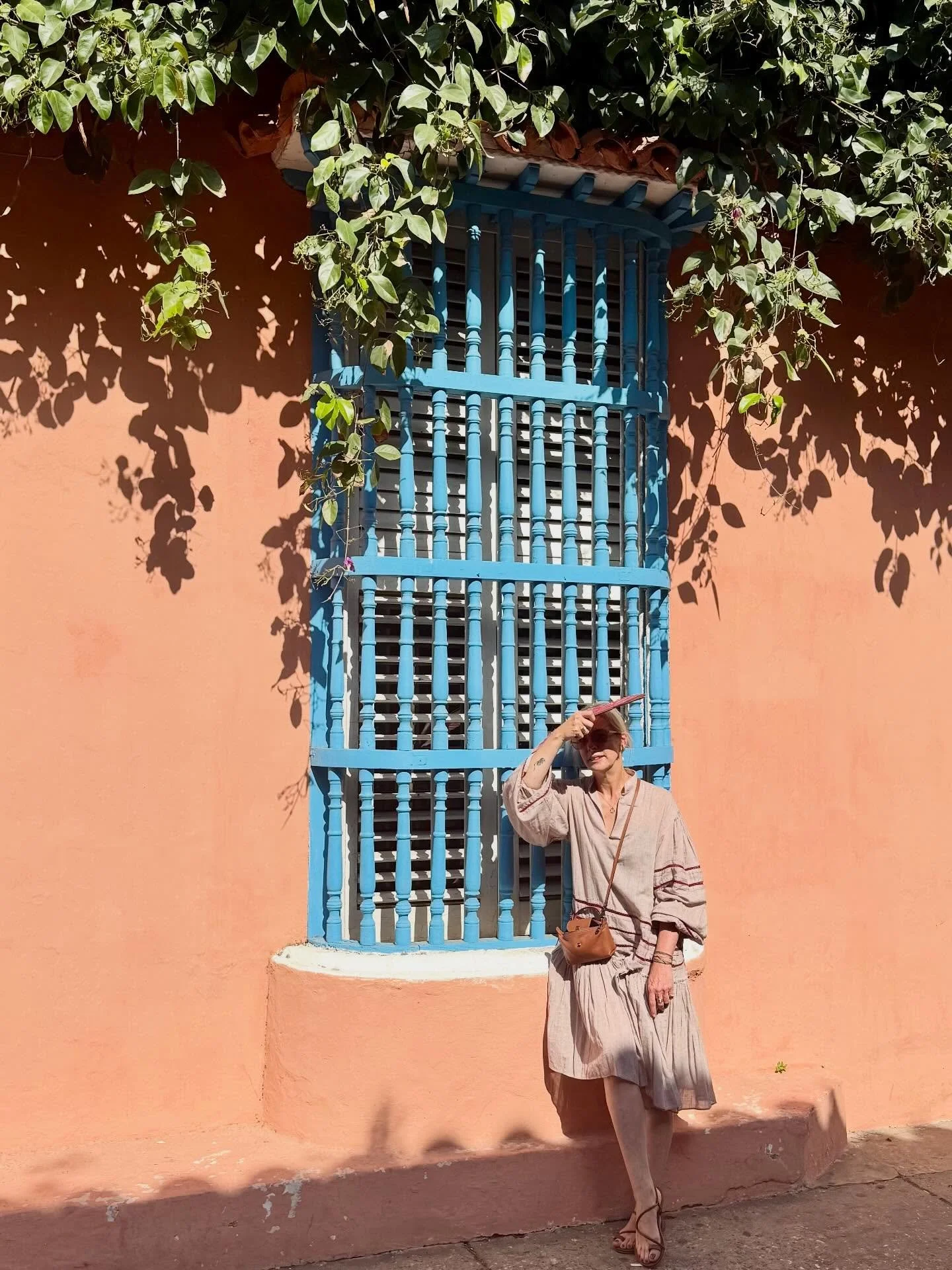 C a r t a g e n a  d e  I n d i a s 

Siempre me remueve el alma un hogar que hice propio y se acomod&oacute; a la partitura del Caribe: &ldquo;Monita, &iquest;quiere mango, mango, mango viche?&rdquo;&hellip; apenas un recuerdo de muros y belleza cre