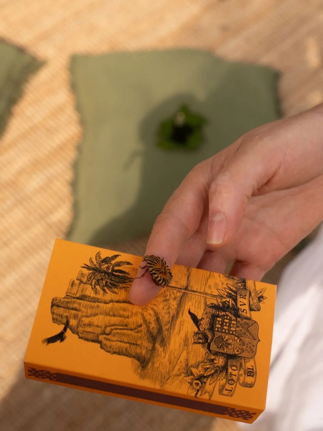 L a s  p e q u e &ntilde; a s  c o s a s

Al regreso de una traves&iacute;a la mente queda embargada al un&iacute;sono con el esp&iacute;ritu. Las breves im&aacute;genes de lo m&iacute;nimo despuntan entre la bruma del trayecto. Son indicios, apenas 