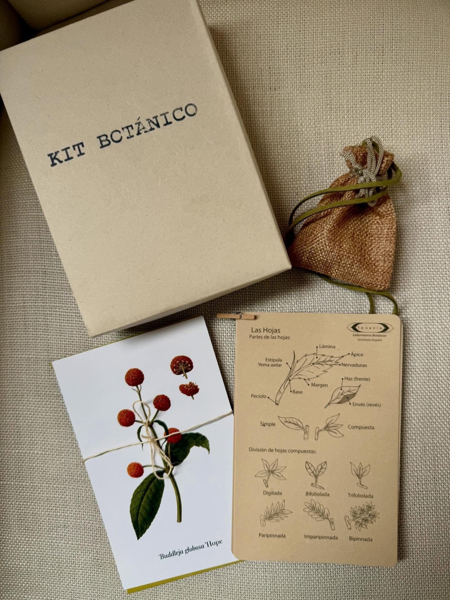 S e n t a d a  e n  s u  s i l l a  v e r d e

&iexcl;Gracias por tanto entregado en forma de conocimiento @lasavia.vegetal &amp; @lotodelsur !