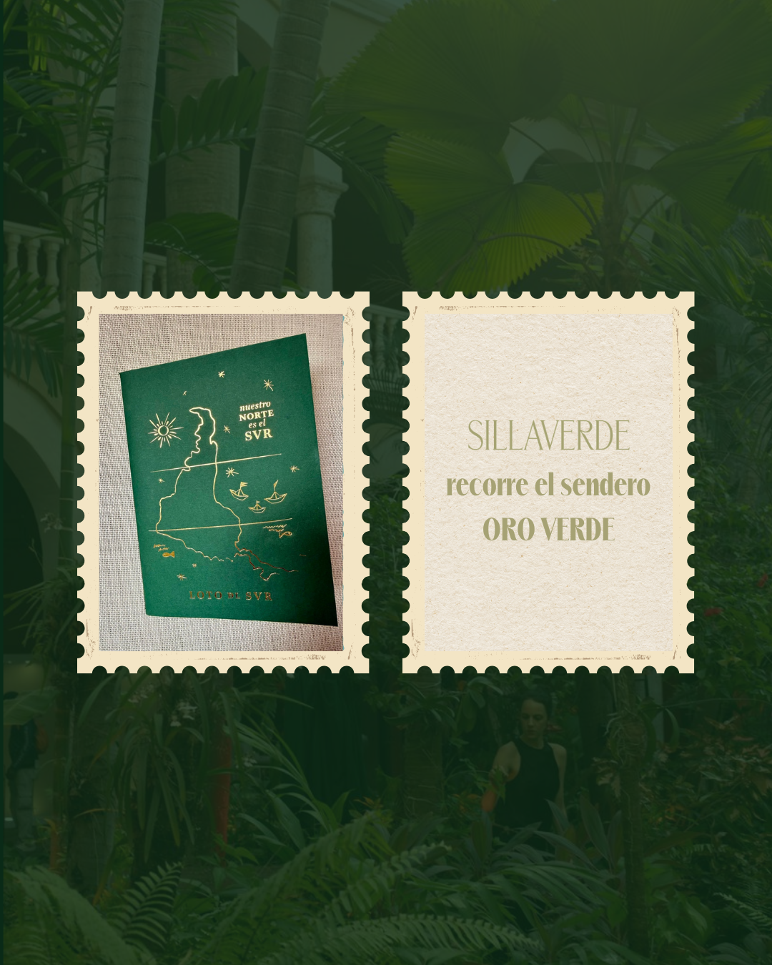 Travesía Loto del Sur&nbsp;