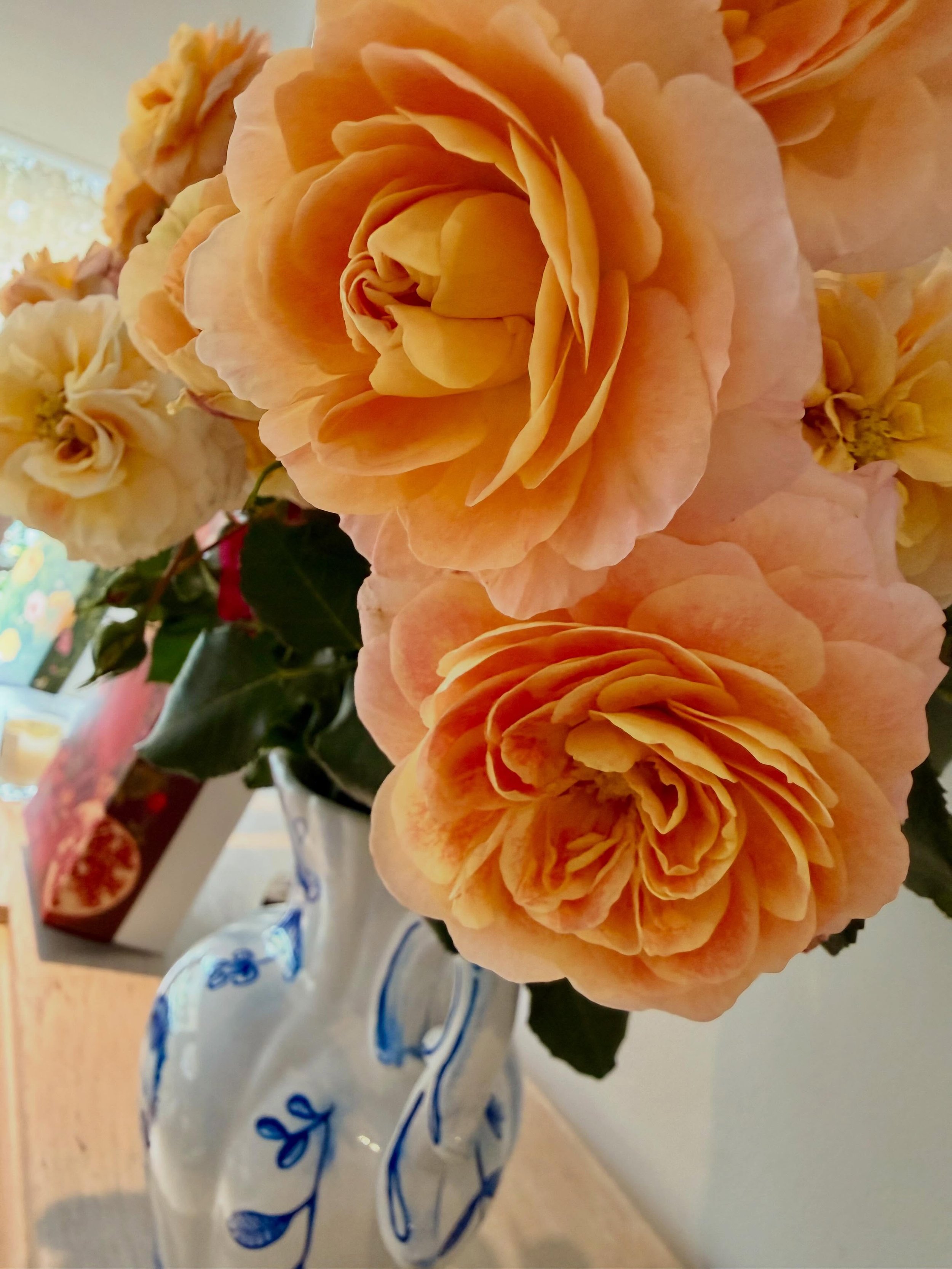 L o  q u e  d e s p u n t a

Las casi siete d&eacute;cadas de trabajo dedicado y vocaci&oacute;n por sembrar en Colombia de @doneloyrosas abarca, desde luego, una variedad de flores y tambi&eacute;n su devoci&oacute;n por las artes cultivando talento