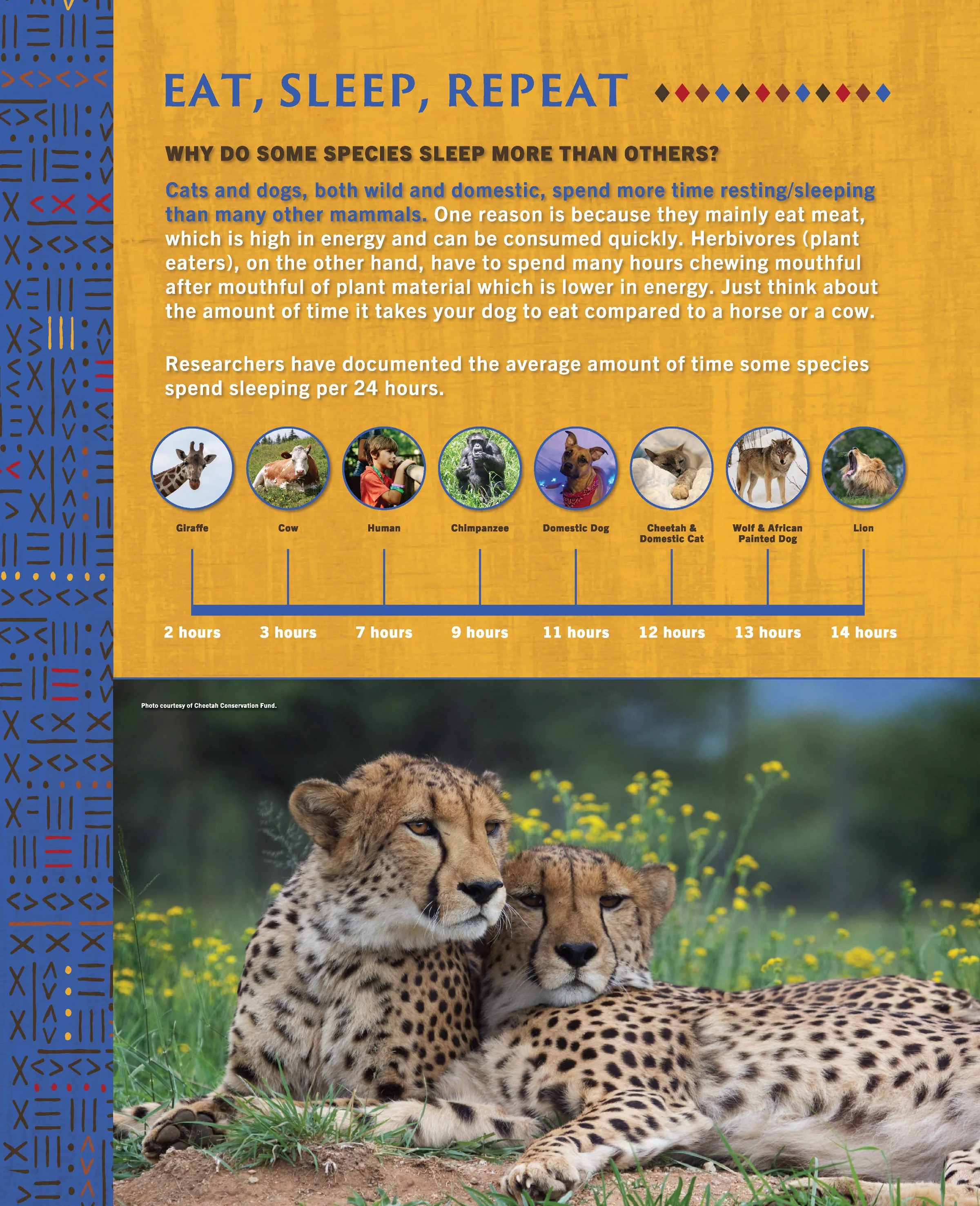 Predator Pass Final Signage_Page_3_Image_0001.jpg