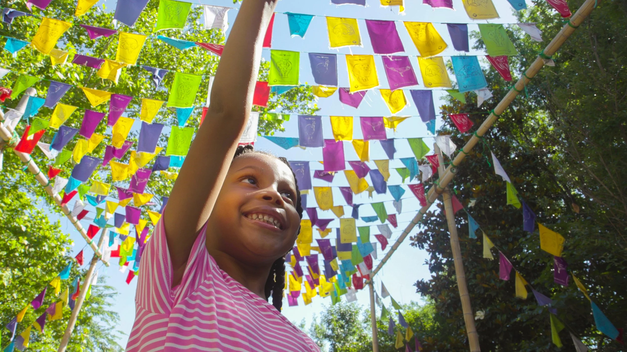 Library 20202-66470.jpg