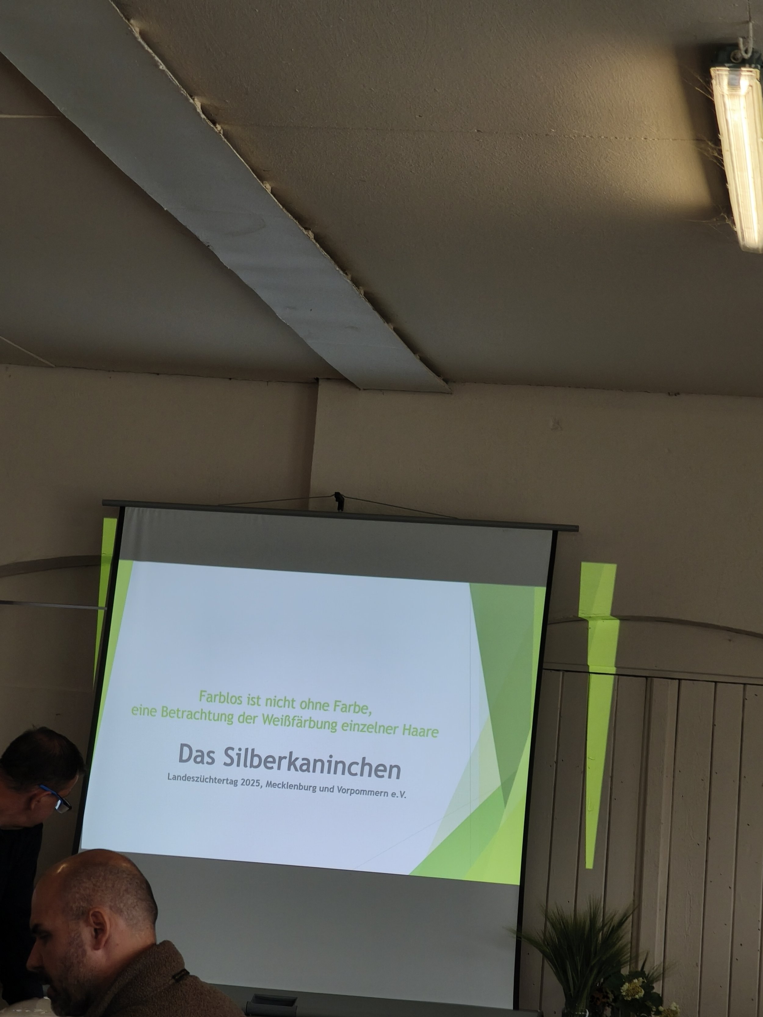 Ein Vortrag von Andre Fischer zu Silberung