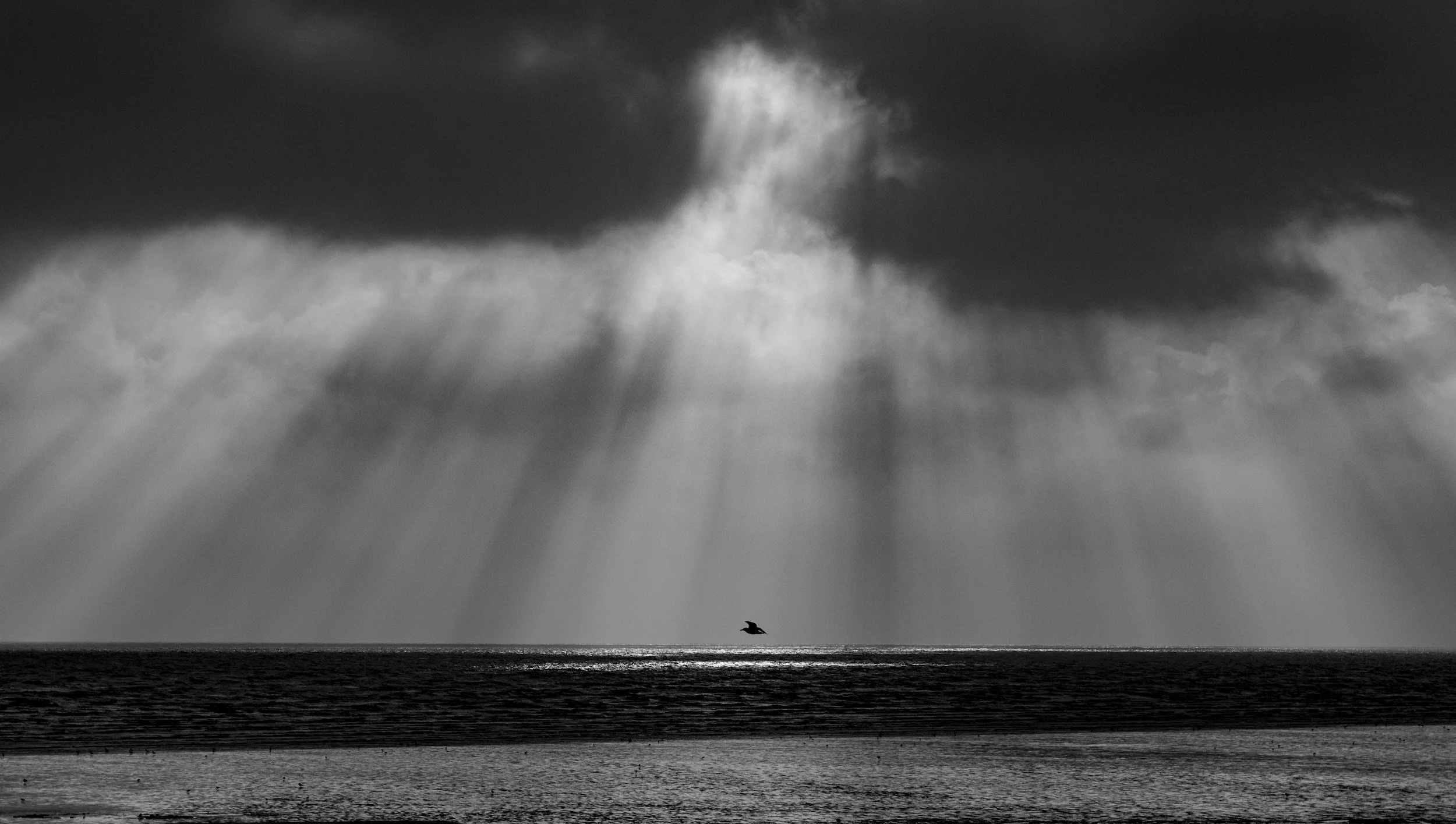 unsplash-image-_qNKMeR3HaE.jpg