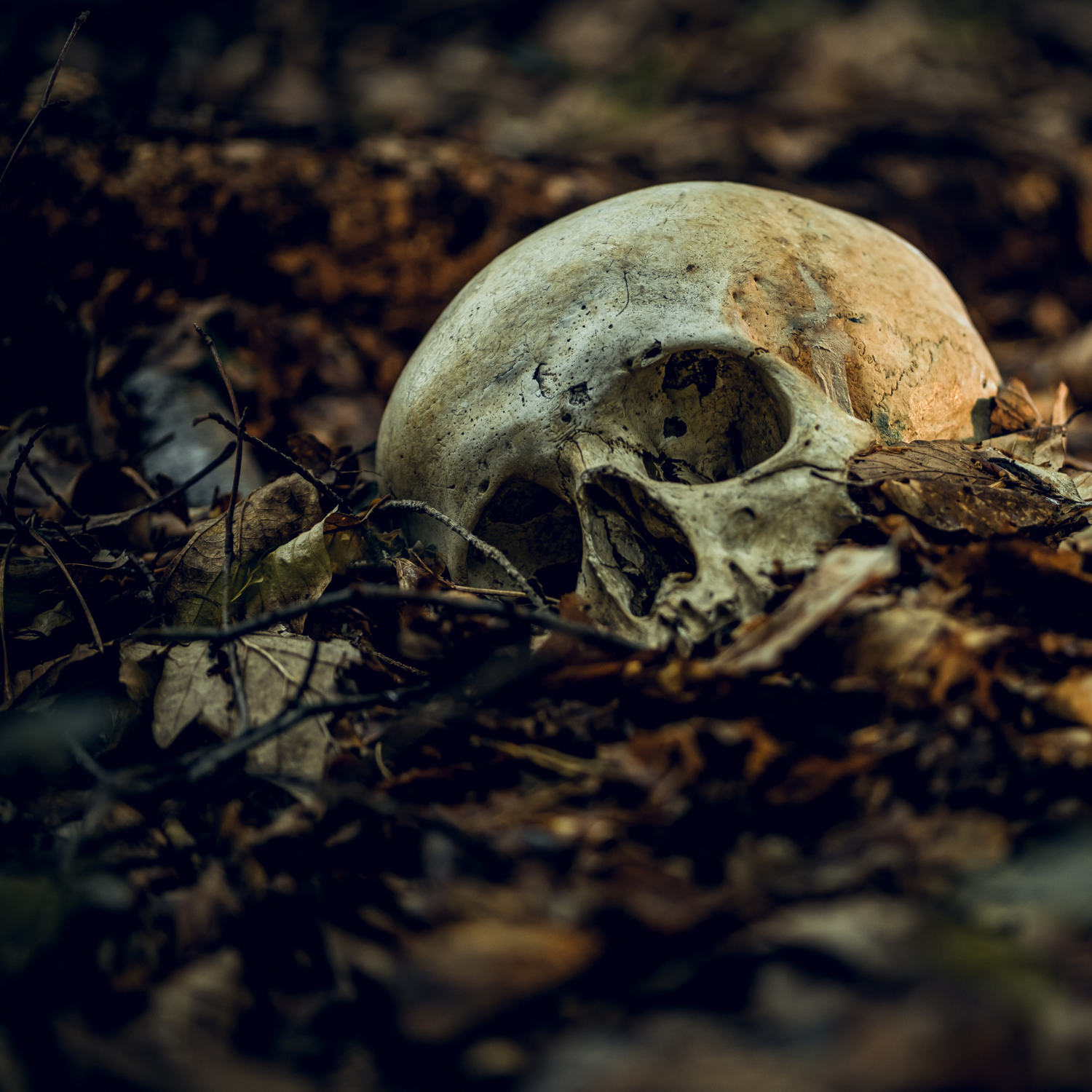 skull.png