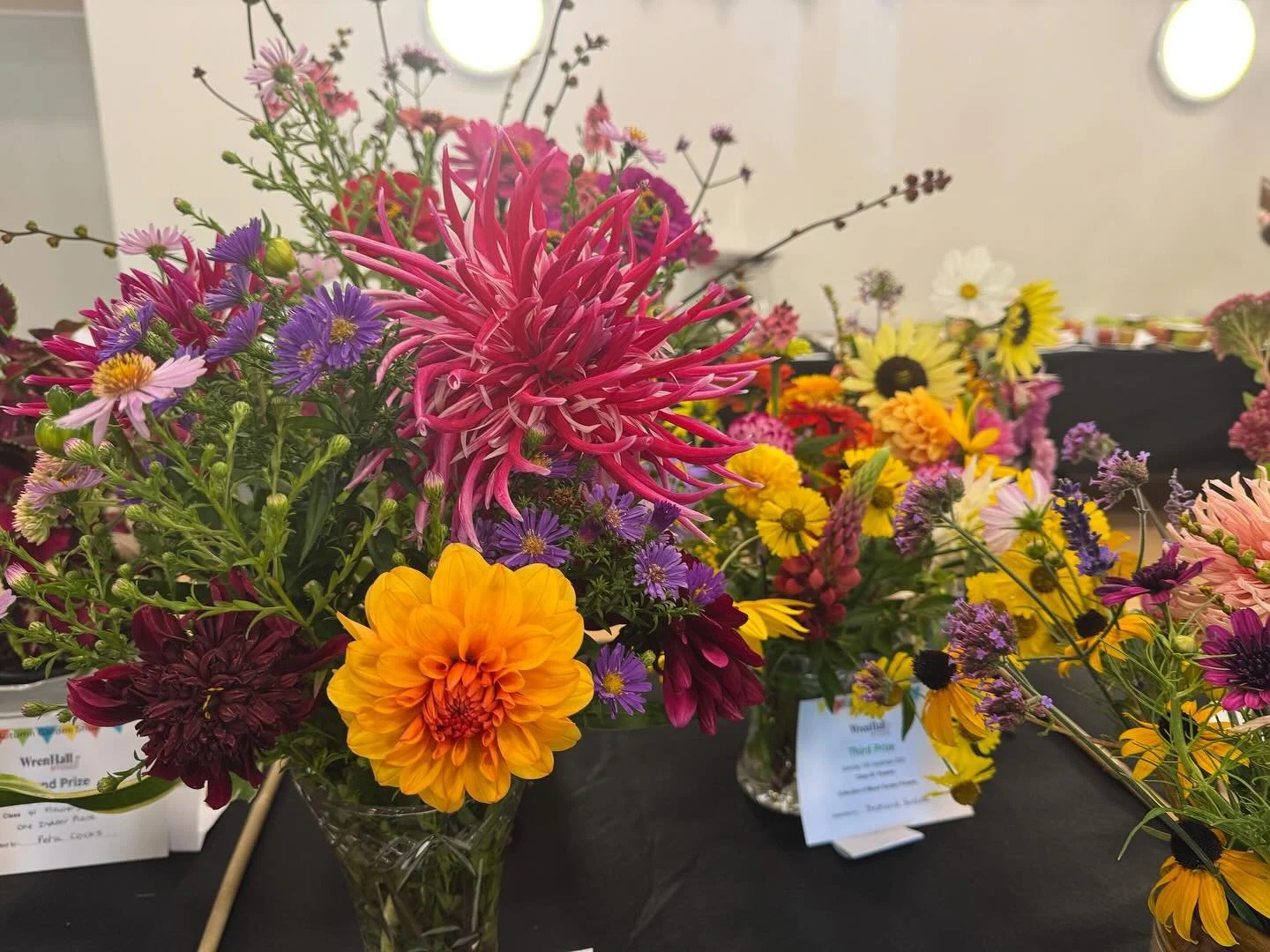 Thanks to everyone who participated in the Autumn Garden Show at Wren Hall yesterday…..it was a great success. With congratulations to our organising team and all the helpers for putting on the show…and thanks to all the growers, bakers