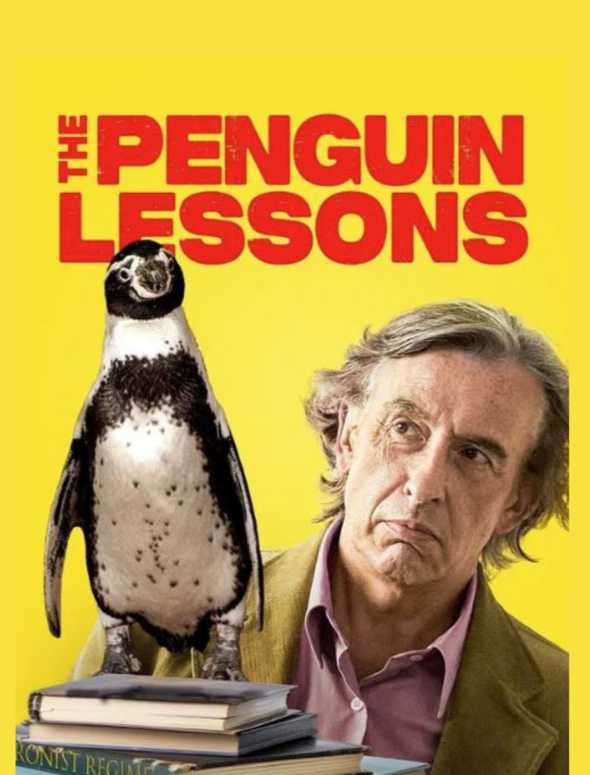 Penguin%2BLessons%2Bfor%2Bweb%2Bhome%2Bpage.png