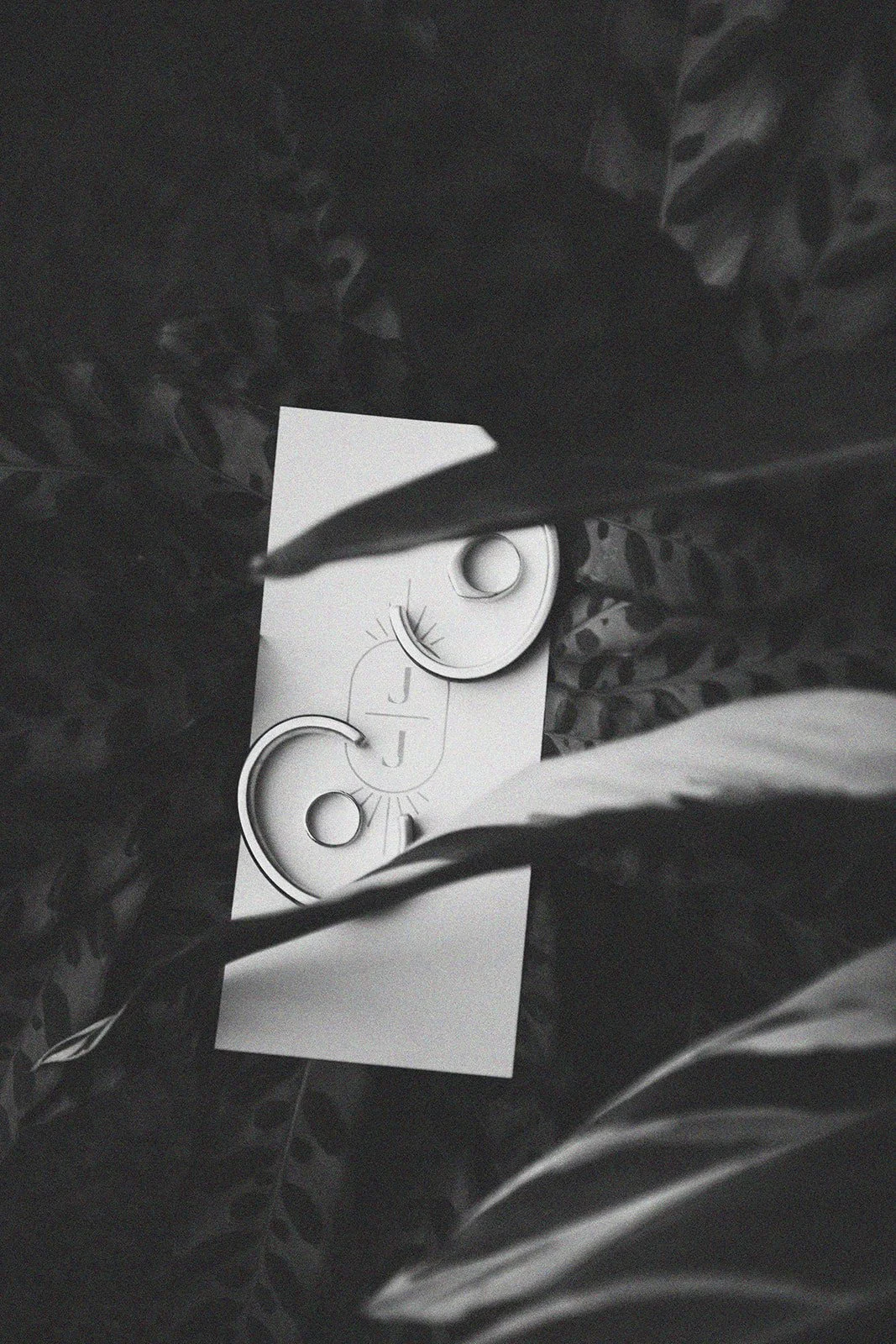 J + J-19_websize.jpg