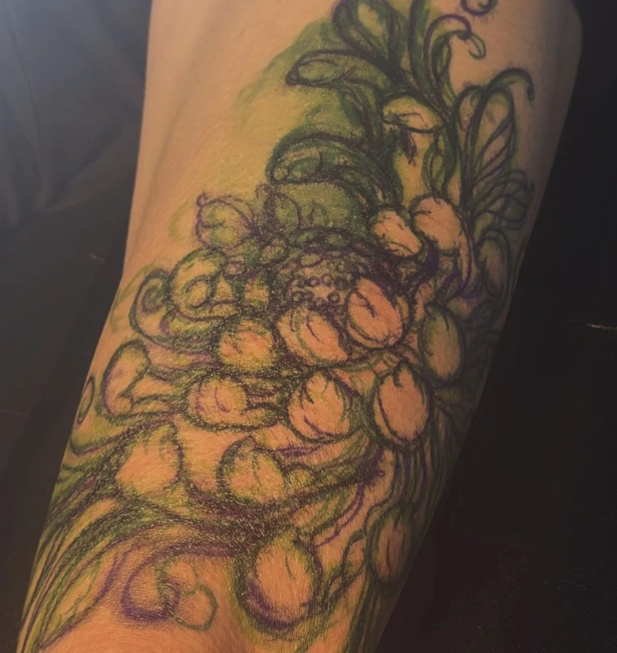 Pre-Drawn Chrysanthemum Flower