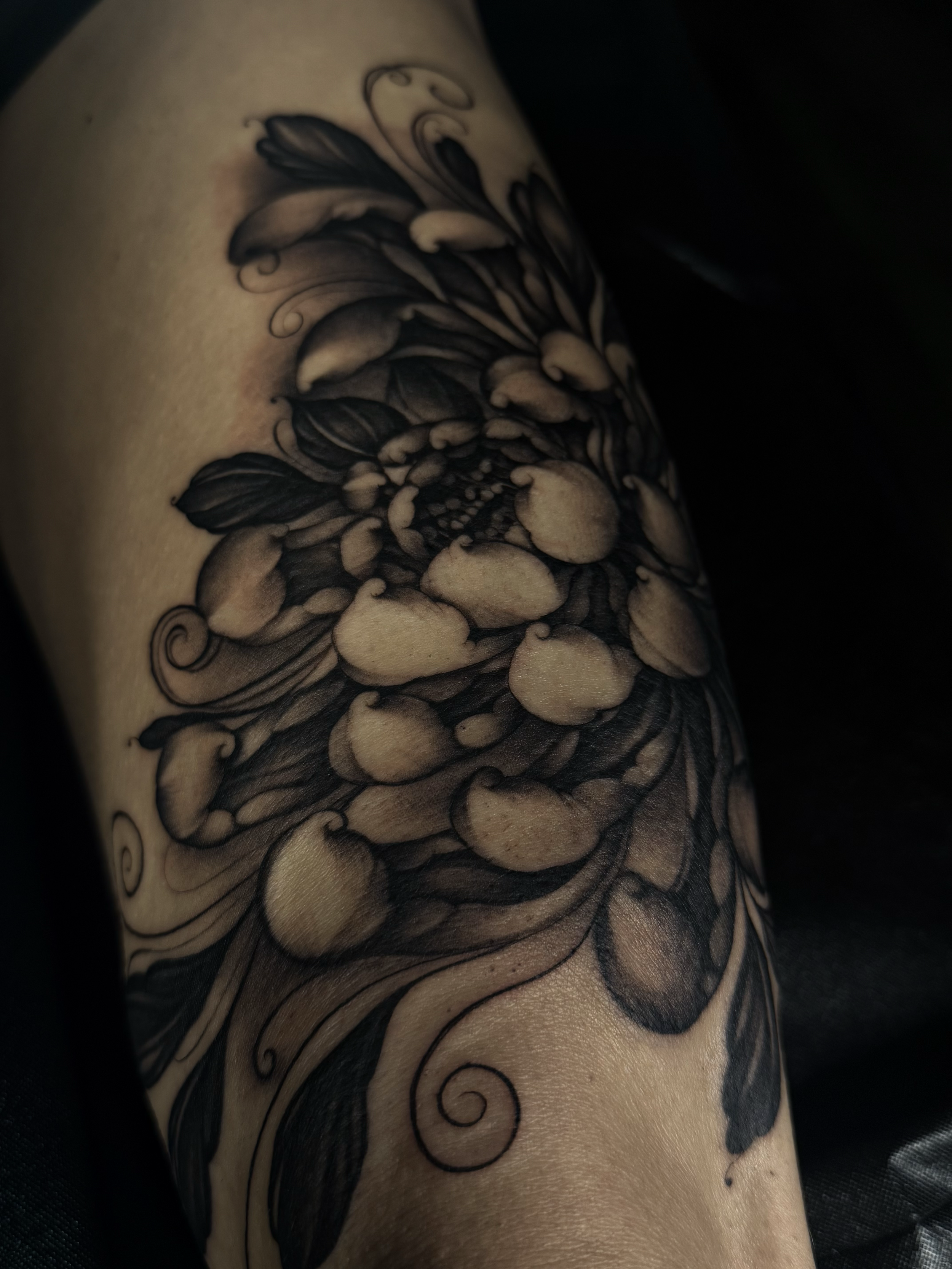 Completed Chrysanthemum Flower