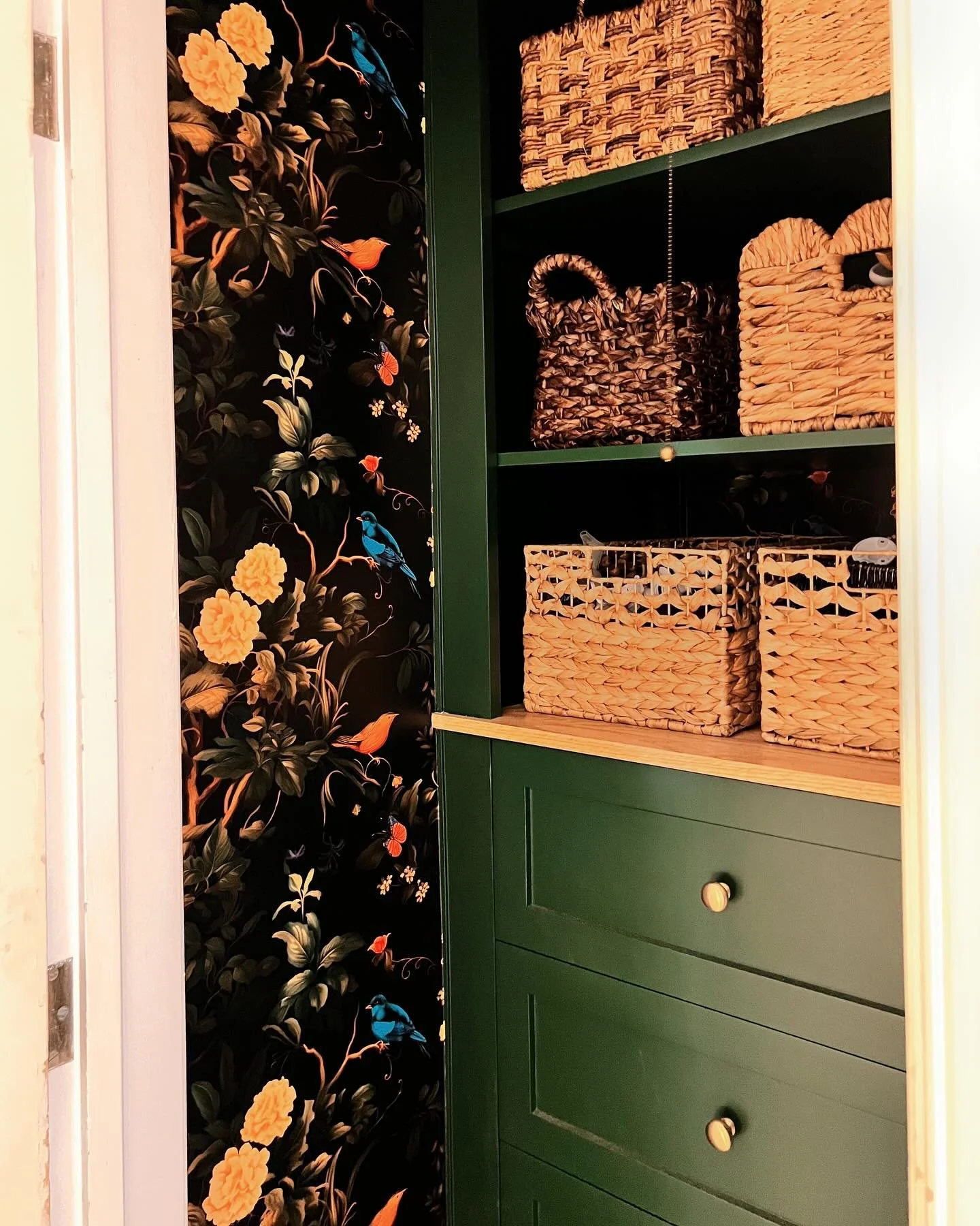It&rsquo;s next to impossible to get a good pic of this closet but it&rsquo;s SO FUN. Custom soft-close, built-in drawers and shelves built by the ridiculously talented Andrew Okla and spray-finished in a gorgeous green.