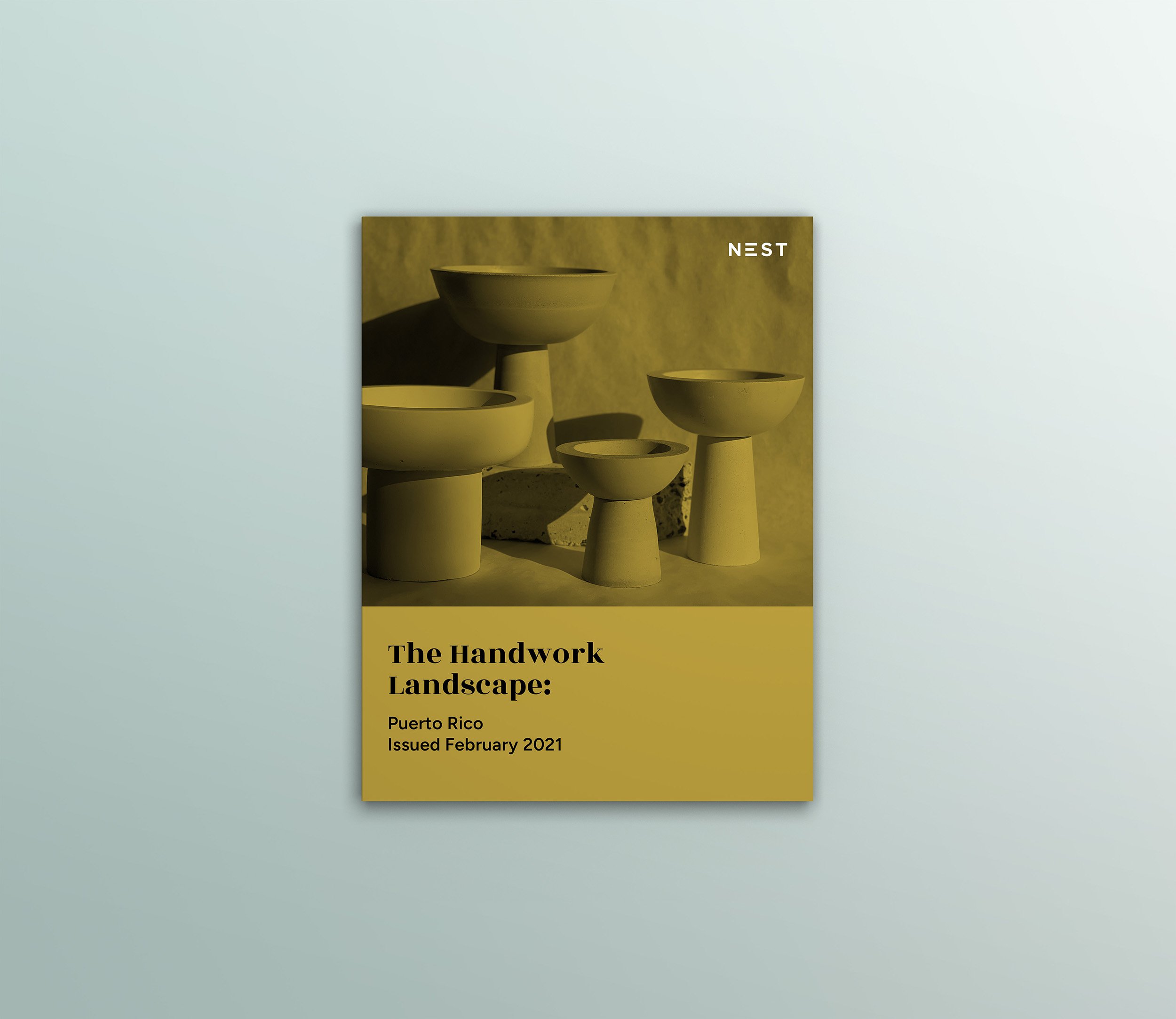 Nest-Landscape-Report-Puerto-Rico.jpg