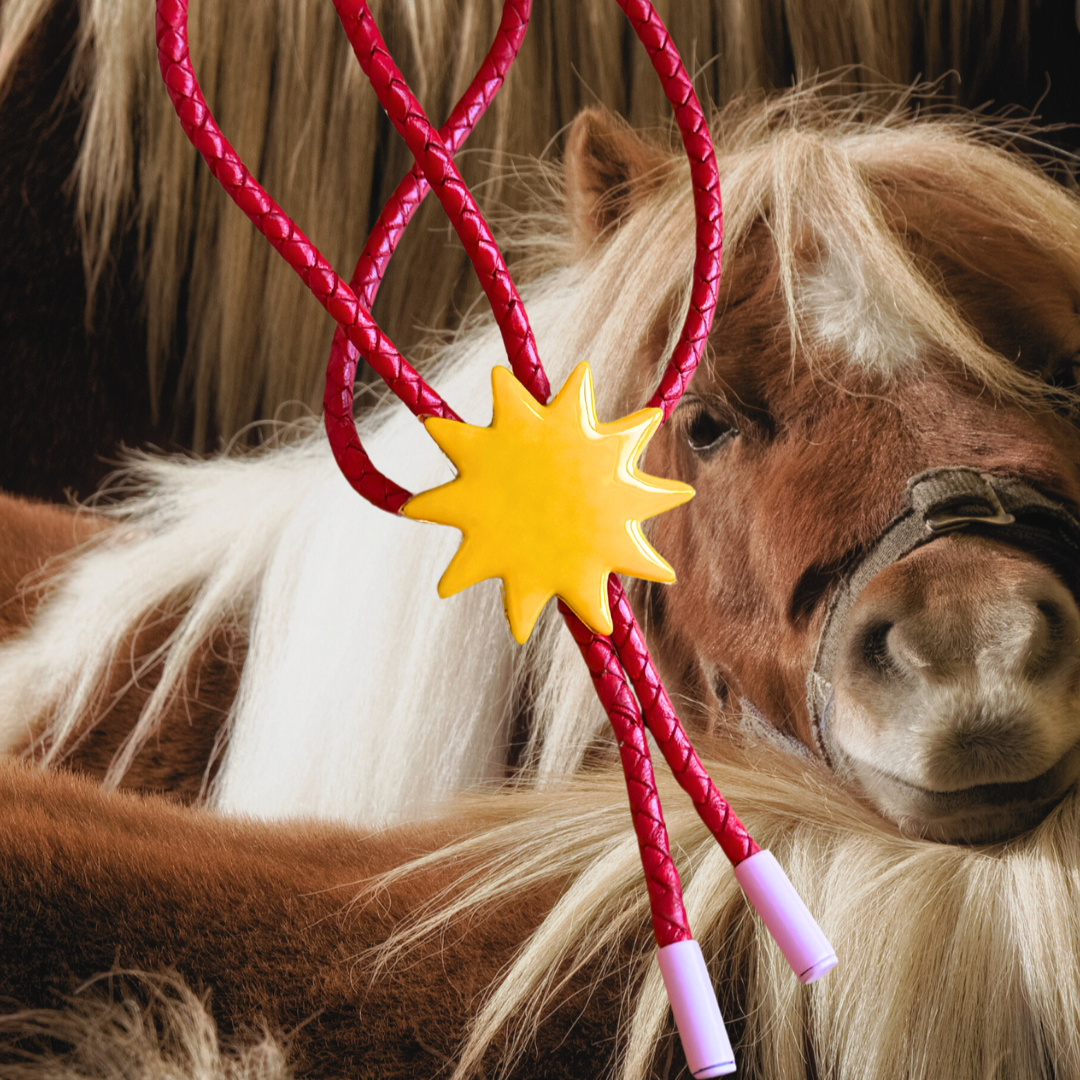 red-bolo.png