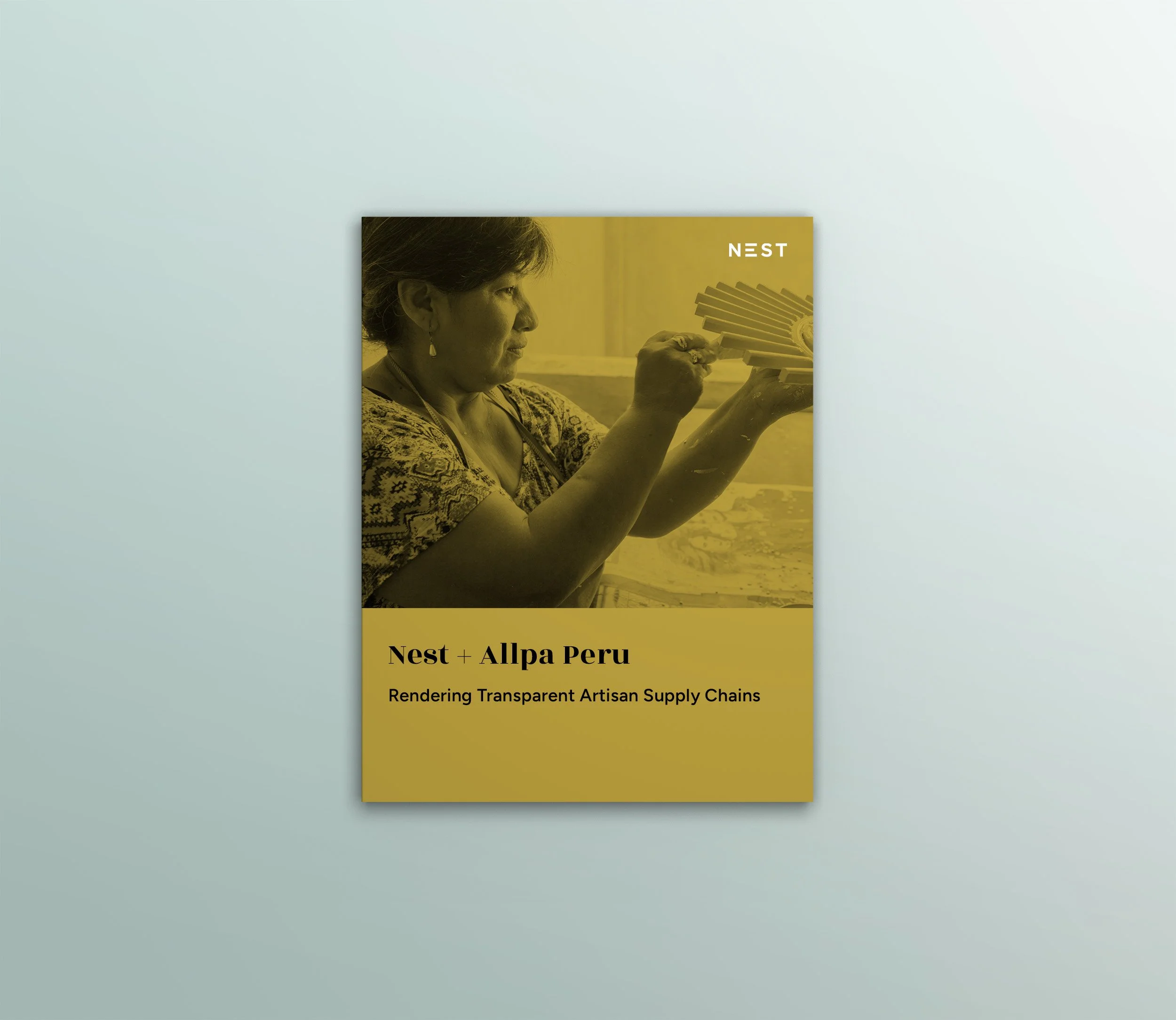 Nest-Allpa-Peru-Report.jpg