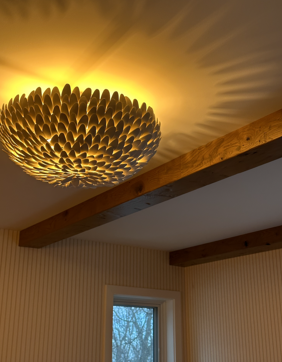 Screen Shot 2026-01-16 at 6.38.15 PM.png