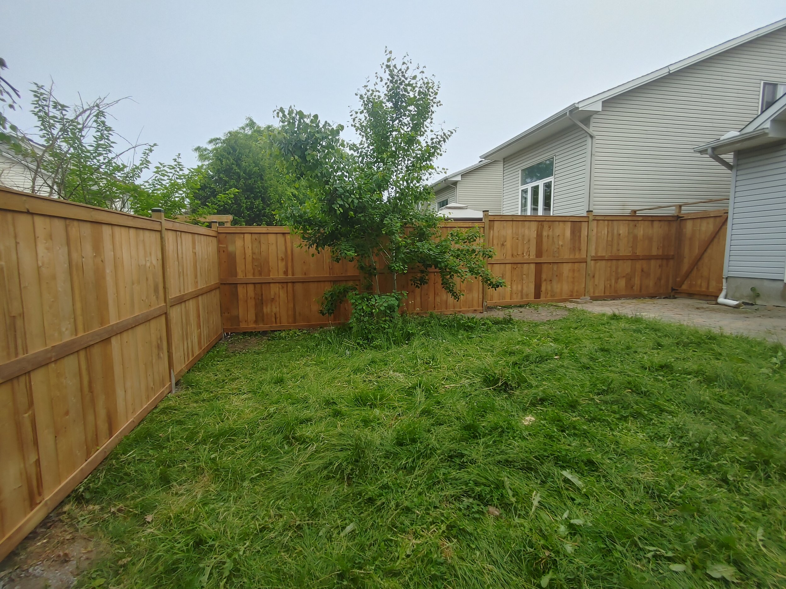 Wood Pressure Treated Fence in Kanata, 2025. StandArt Fence 