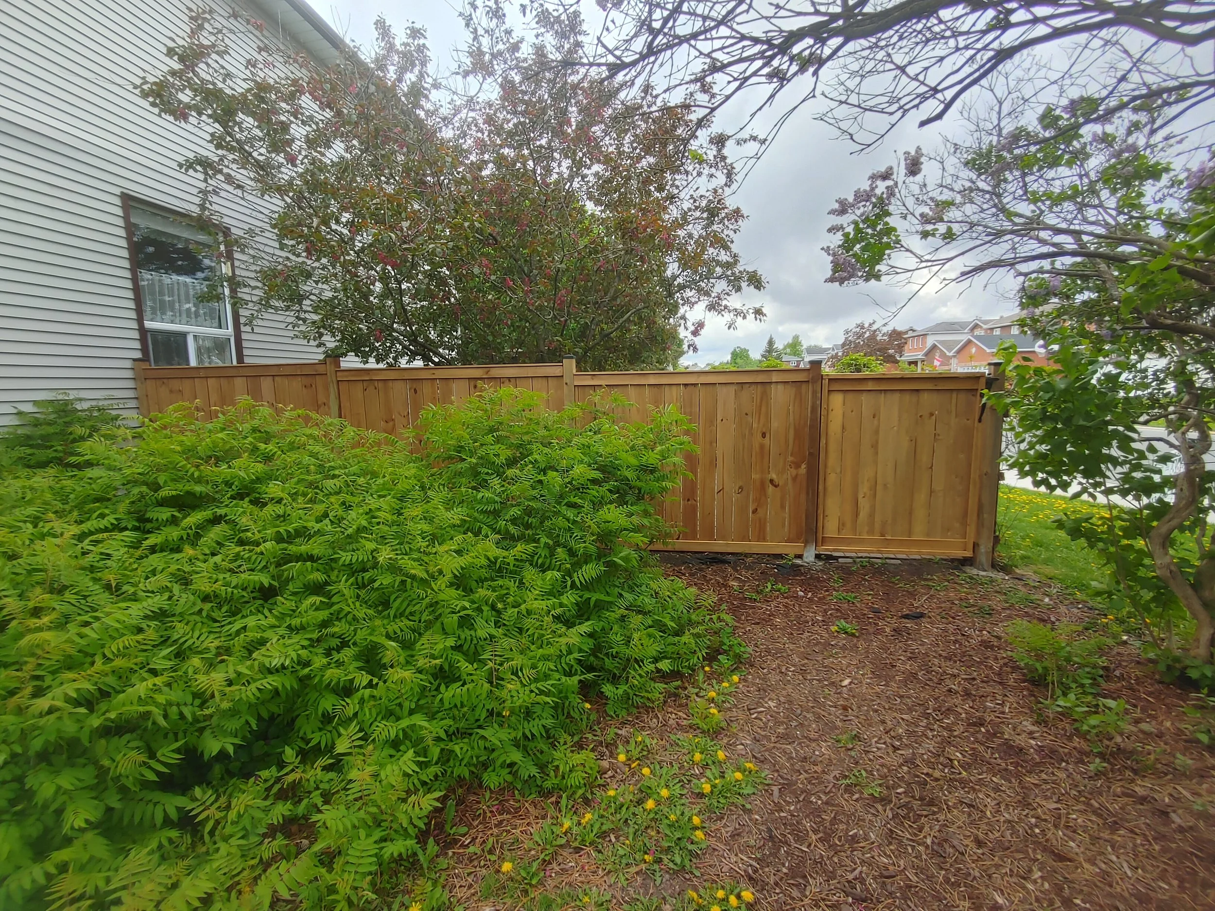 Wood Pressure Treated Fence in Barrhaven, 2025. StandArt Fence 