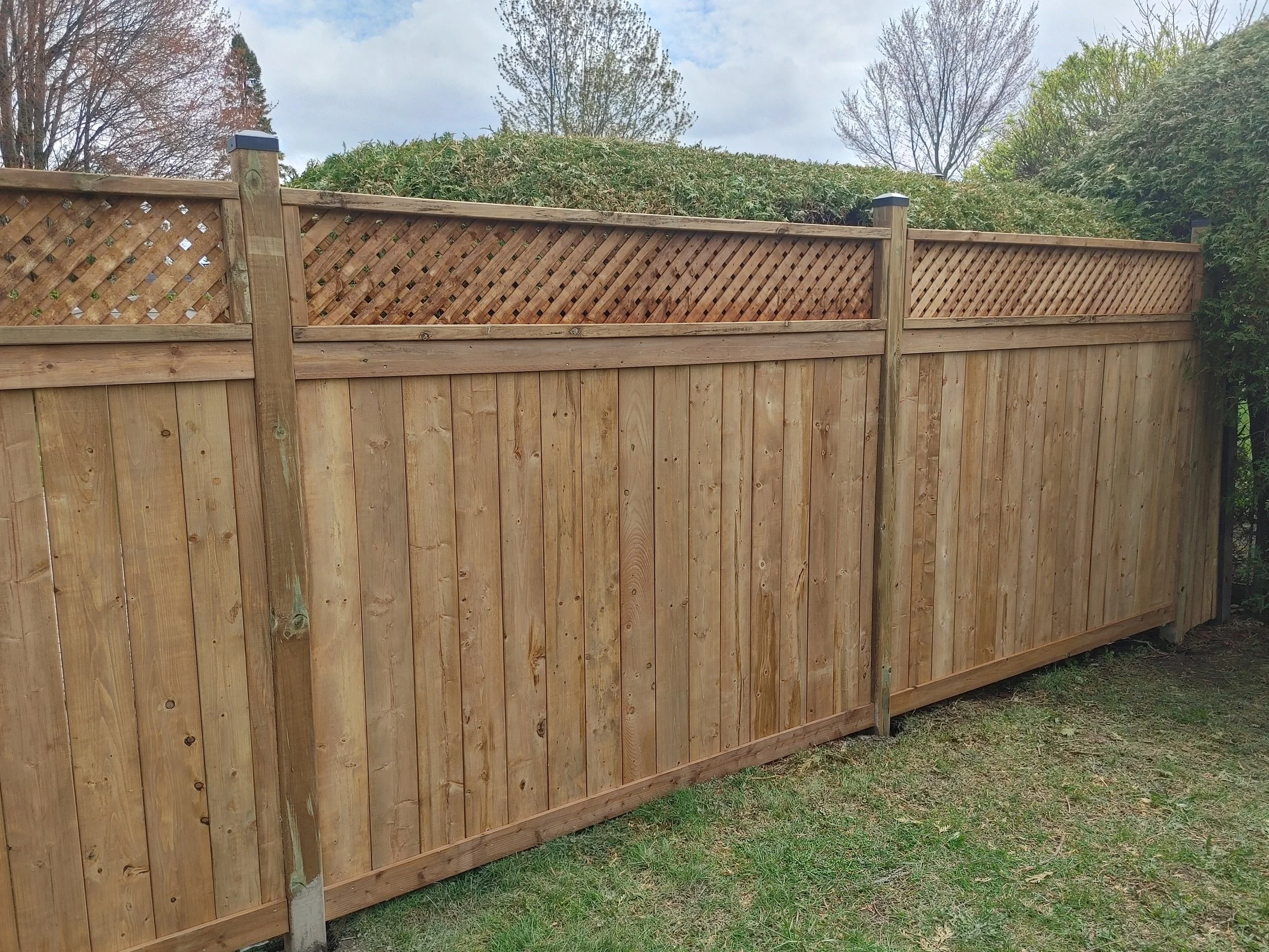Wood Pressure Treated Fence in Nepean, 2025. StandArt Fence 