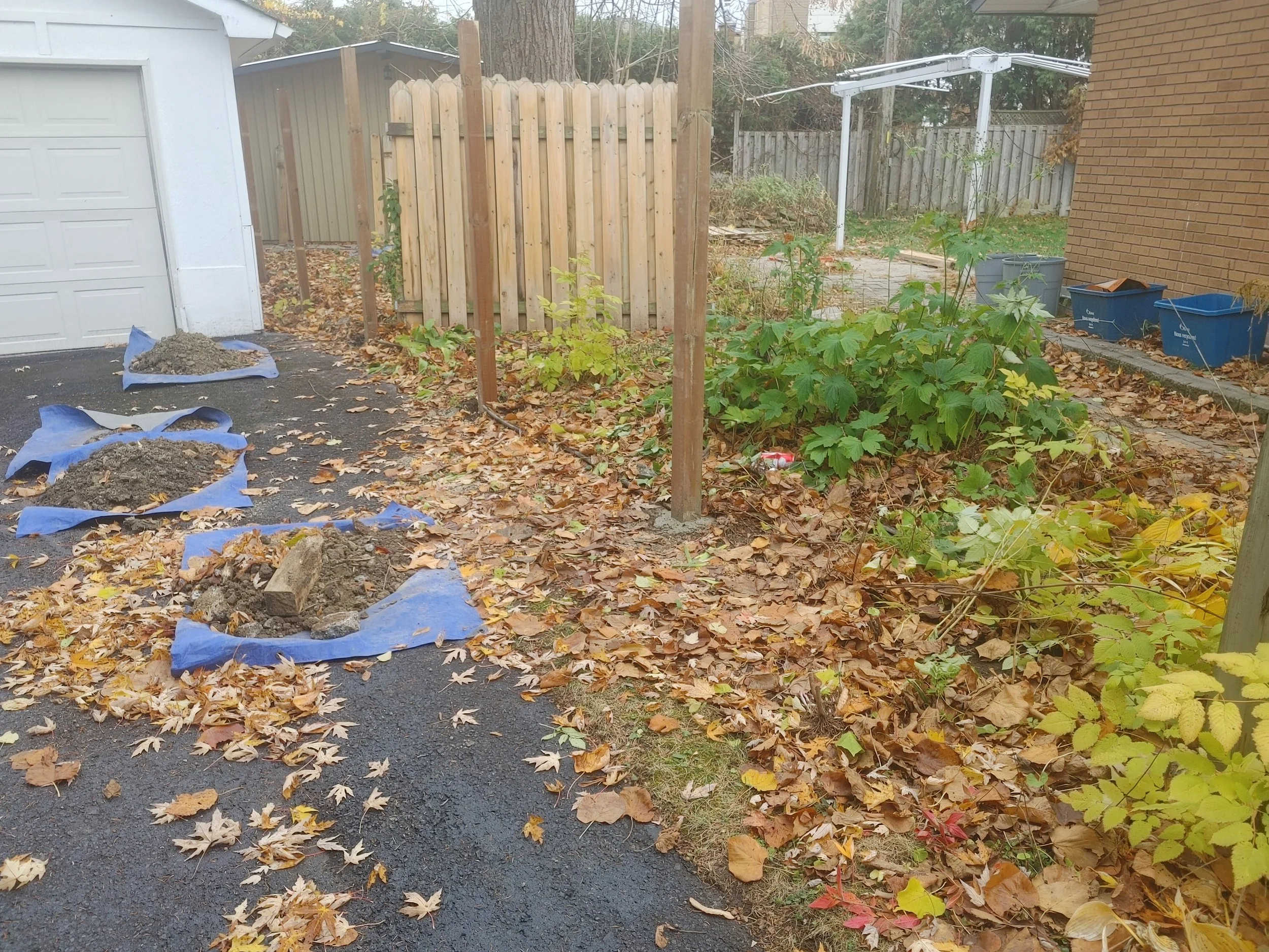 Wood Fence in Nepean, 2025. StandArt Fence