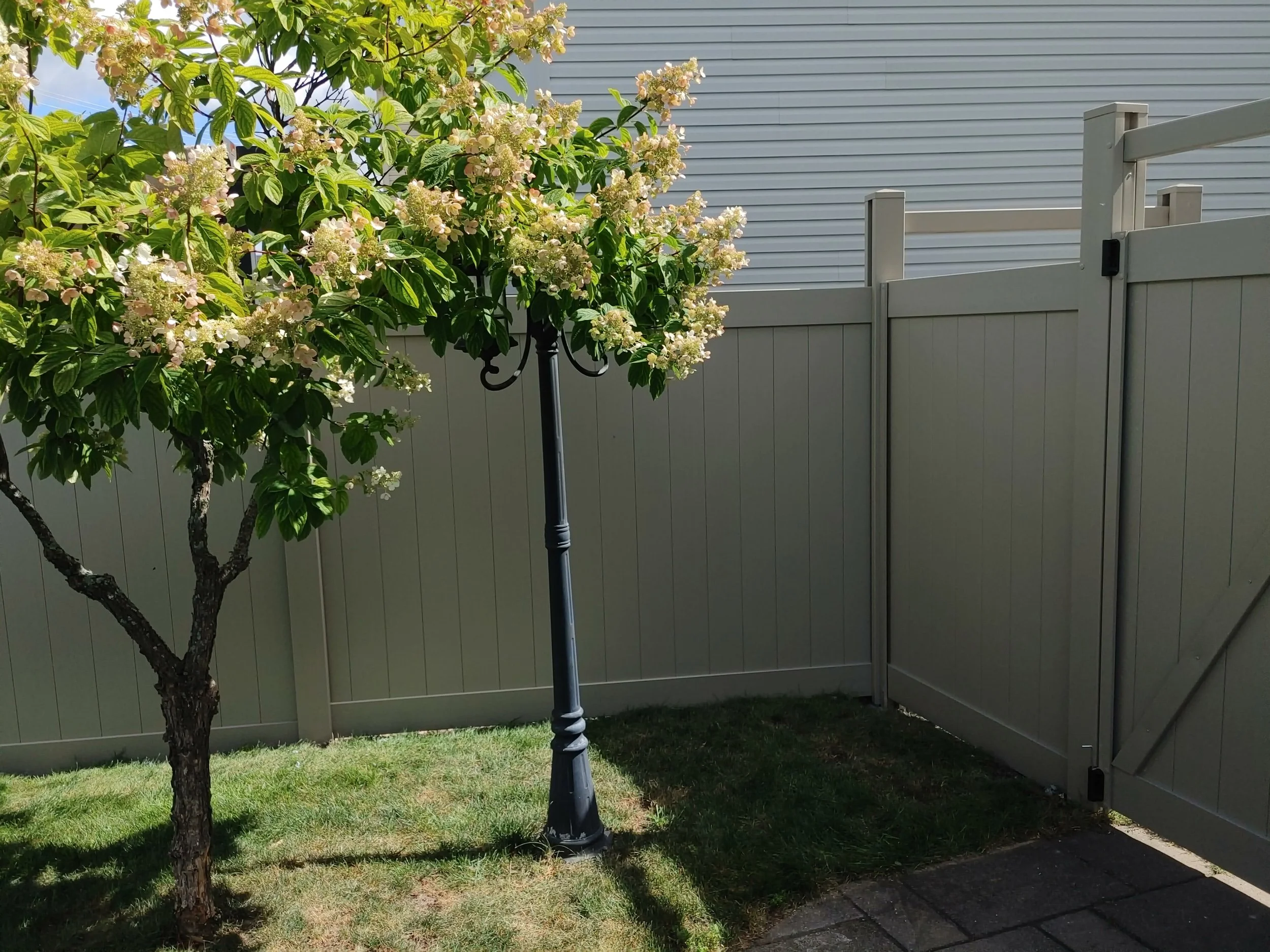 Adobe PVC Titan Fence in Stittsville, 2025. StandArt Fence