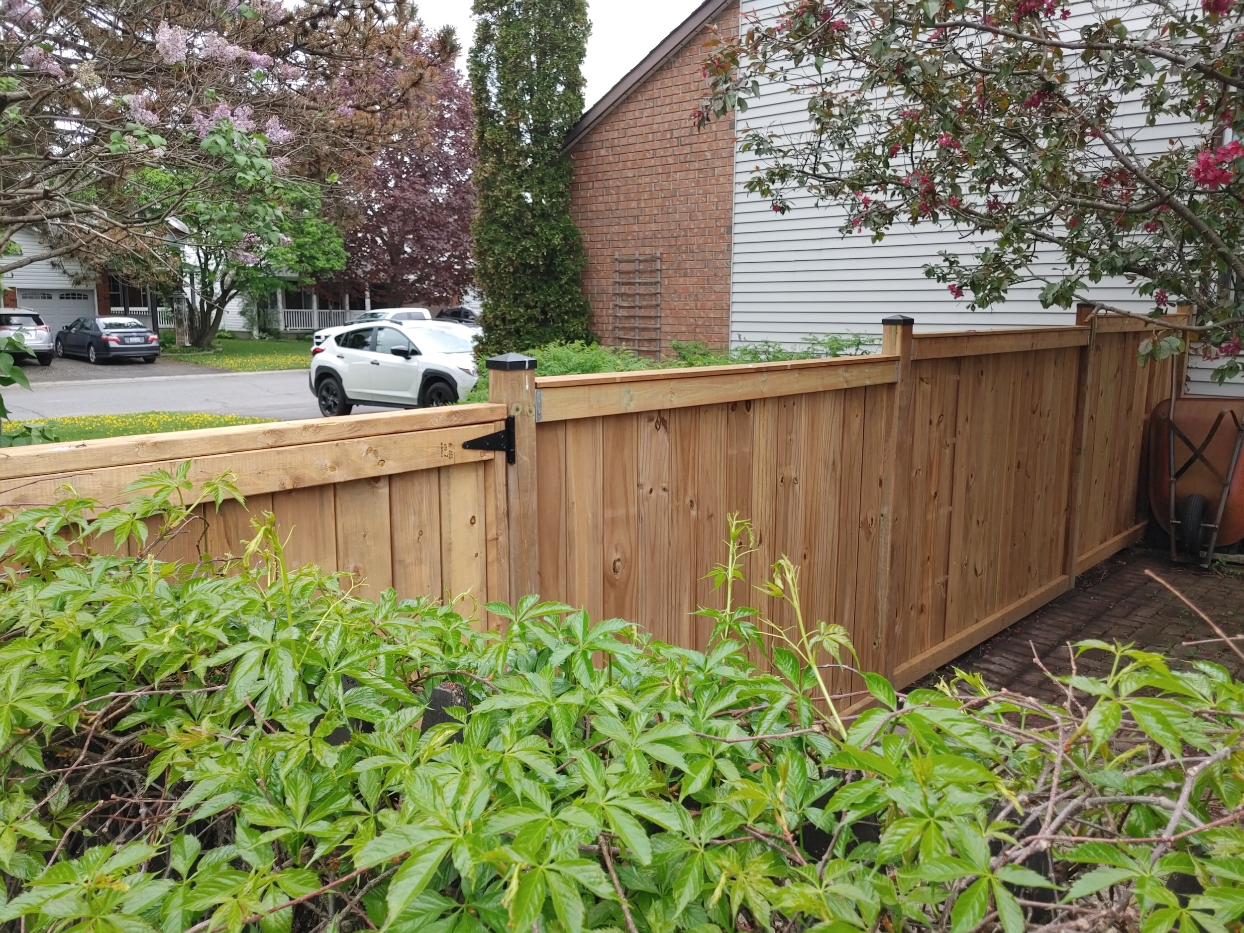 Wood Pressure Treated Fence in Barrhaven, 2025. StandArt Fence 