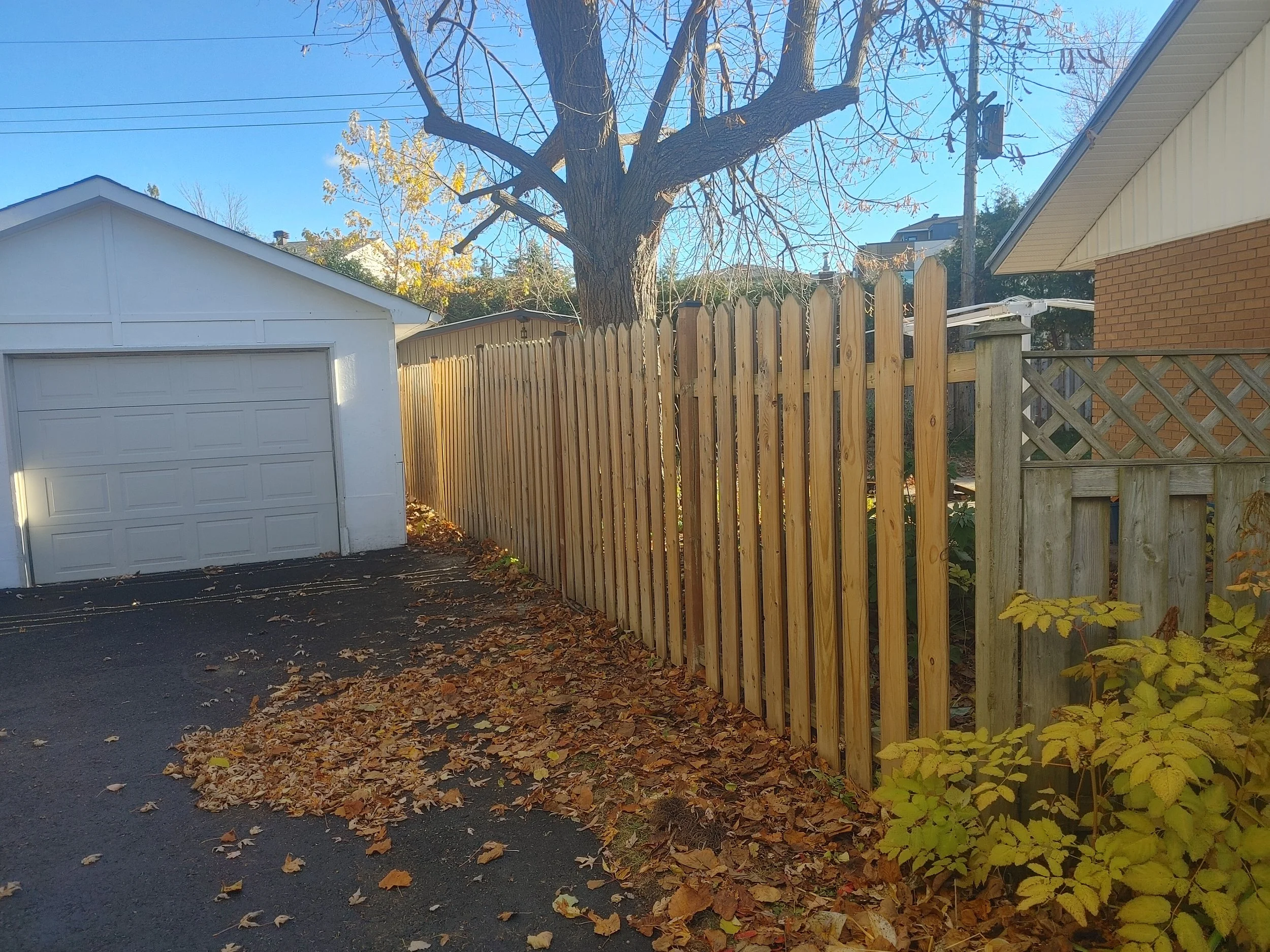 PT Wood Fence Project