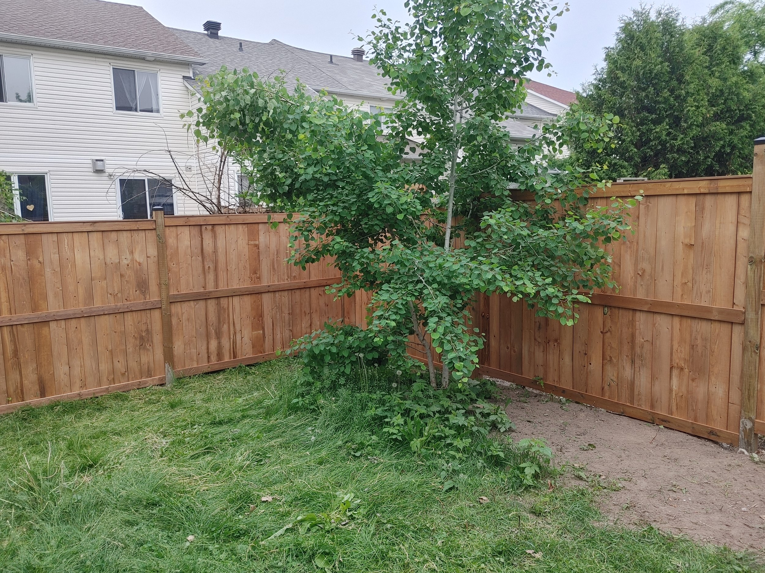 Wood Pressure Treated Fence in Kanata, 2025. StandArt Fence 