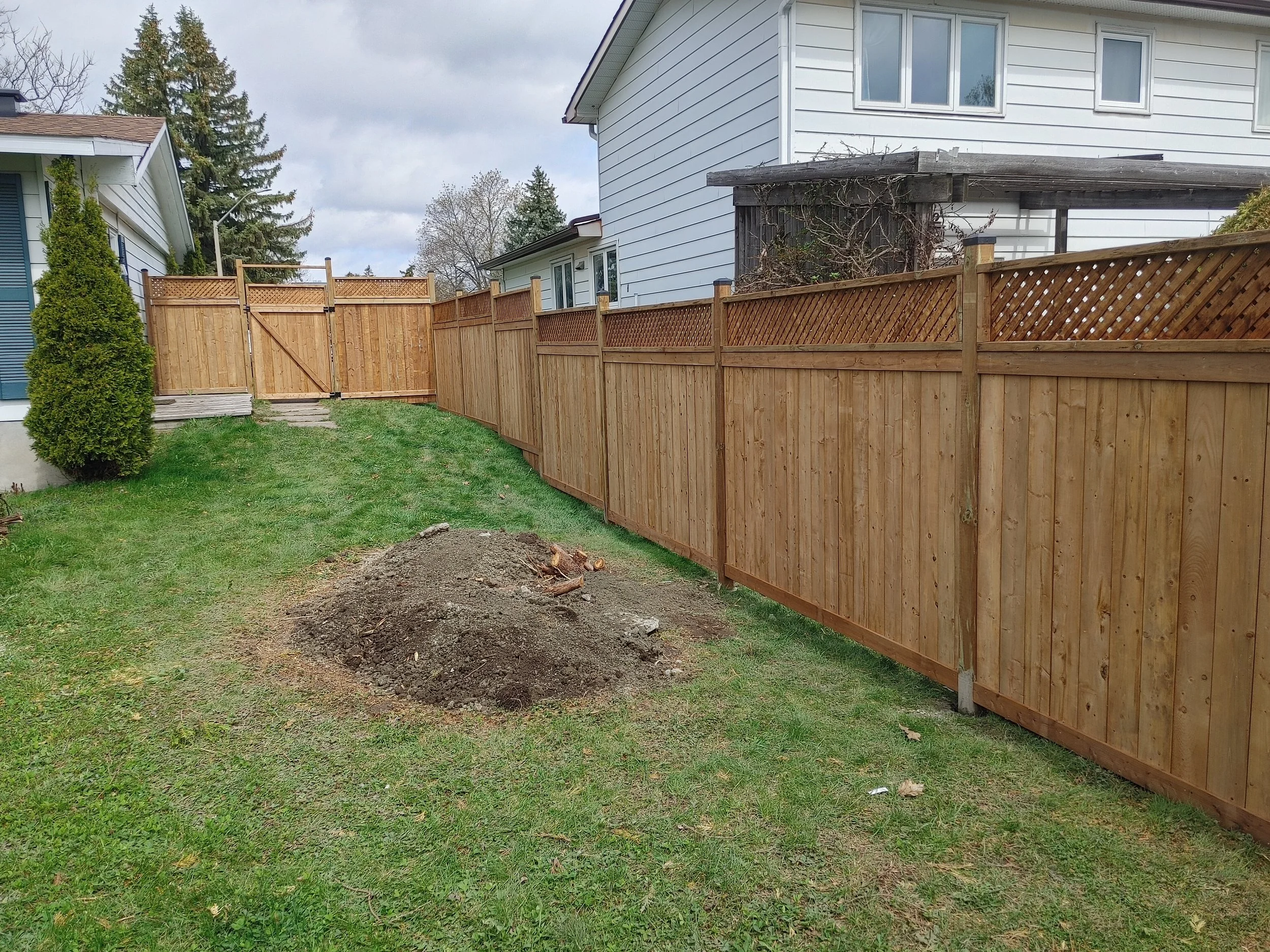 Wood Pressure Treated Fence in Nepean, 2025. StandArt Fence 