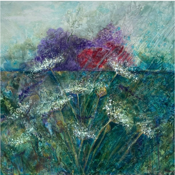 Queen Annes Lace