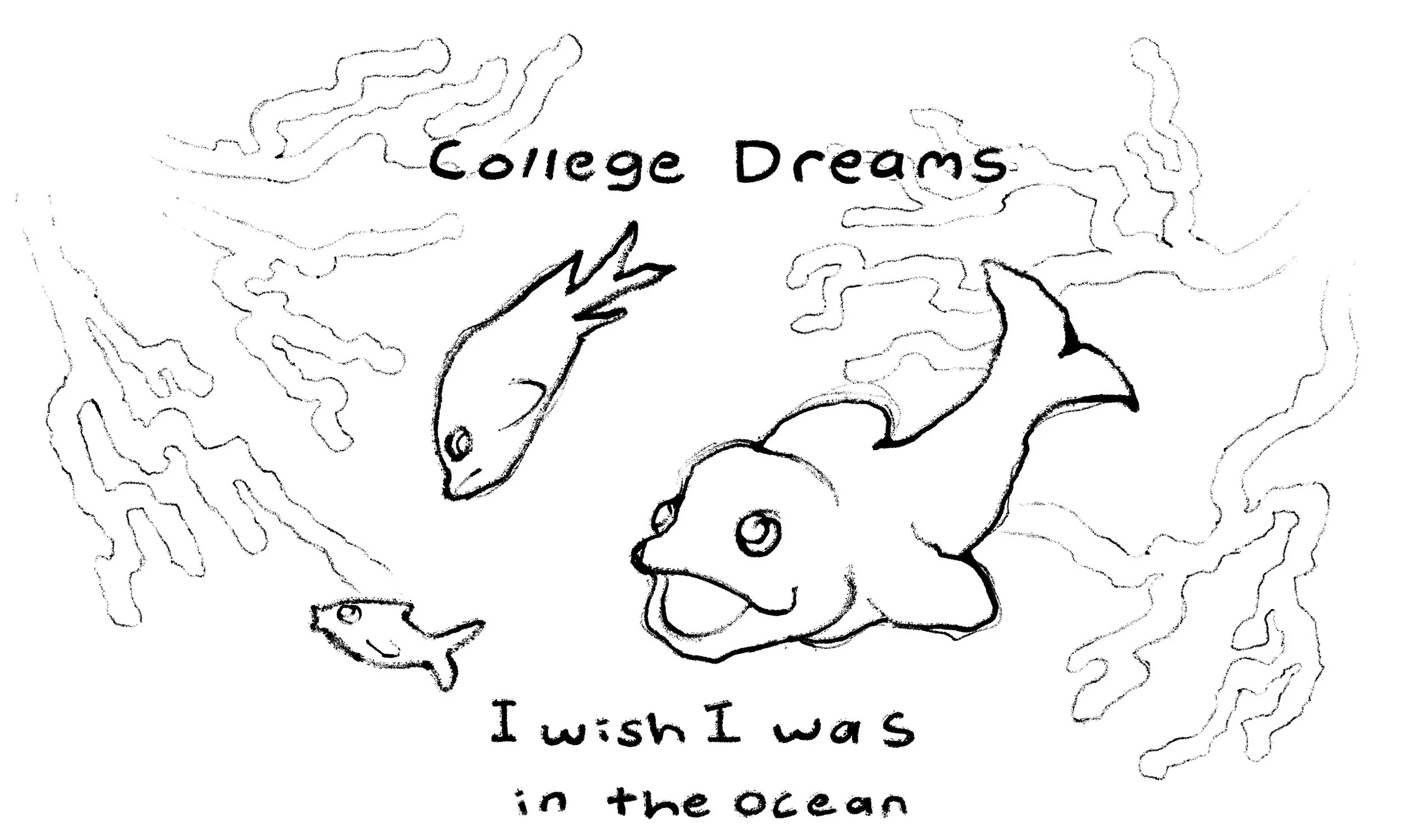 college dreams shirt.jpg
