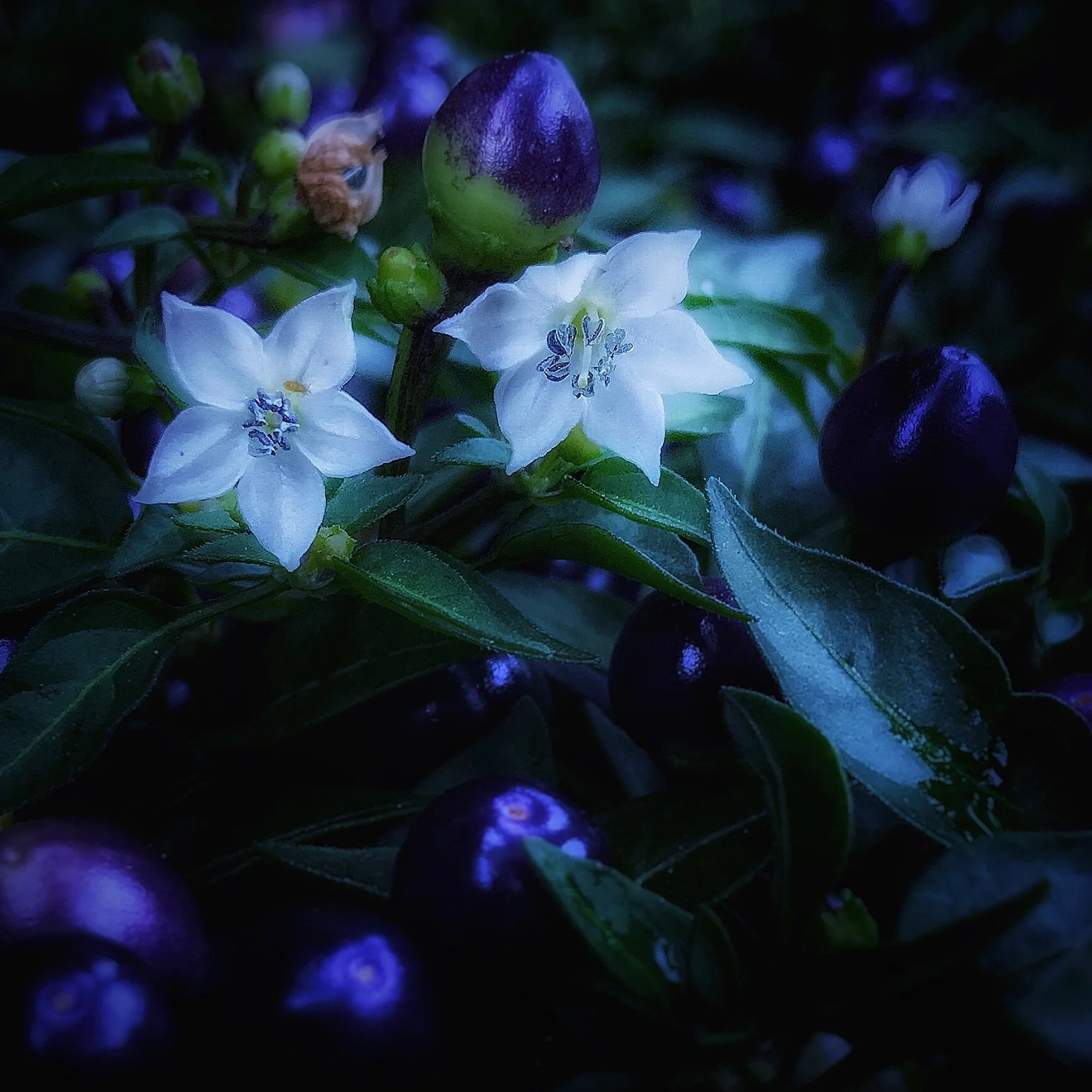 M4_2019_02_February_IT'S OKAY TO SLOW DOWN.jpg