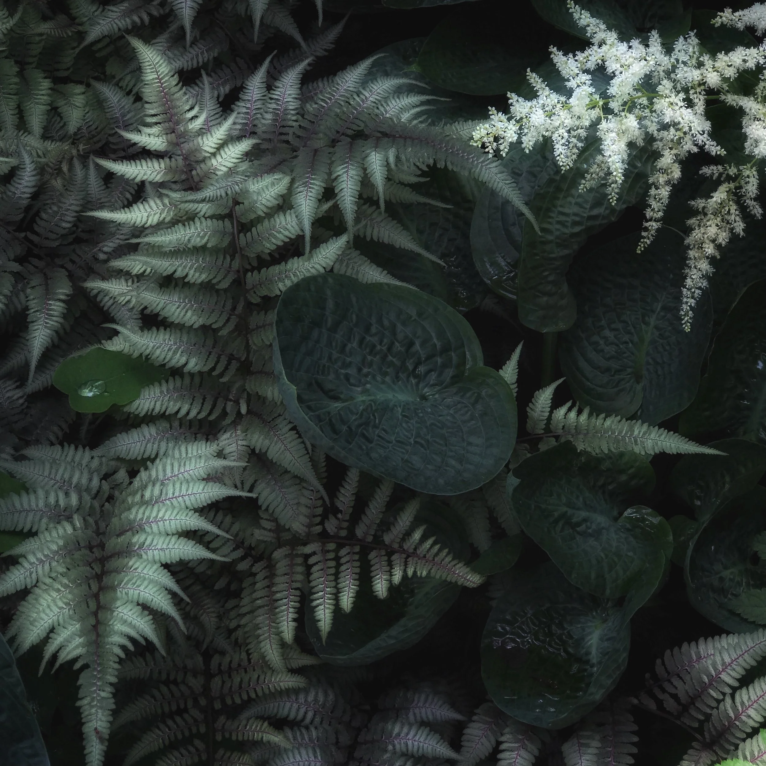 Y4_2022_September_LISTEN TO YOUR INTUITION.jpg