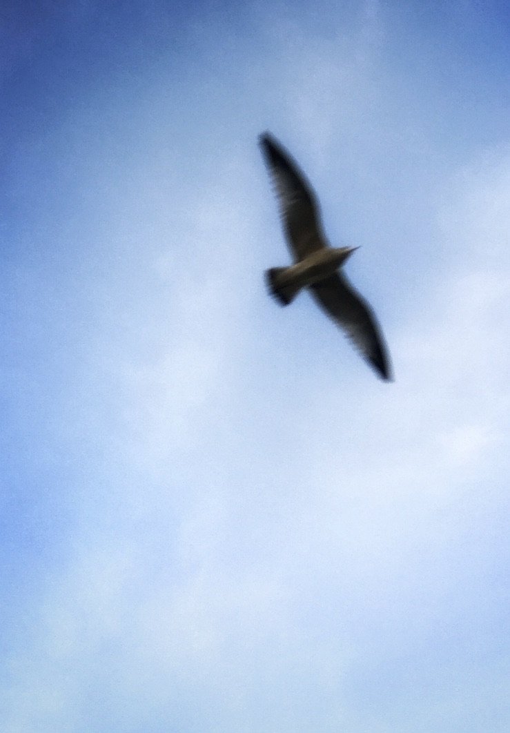 P11_DECEMBER 2024_HOPE.jpeg