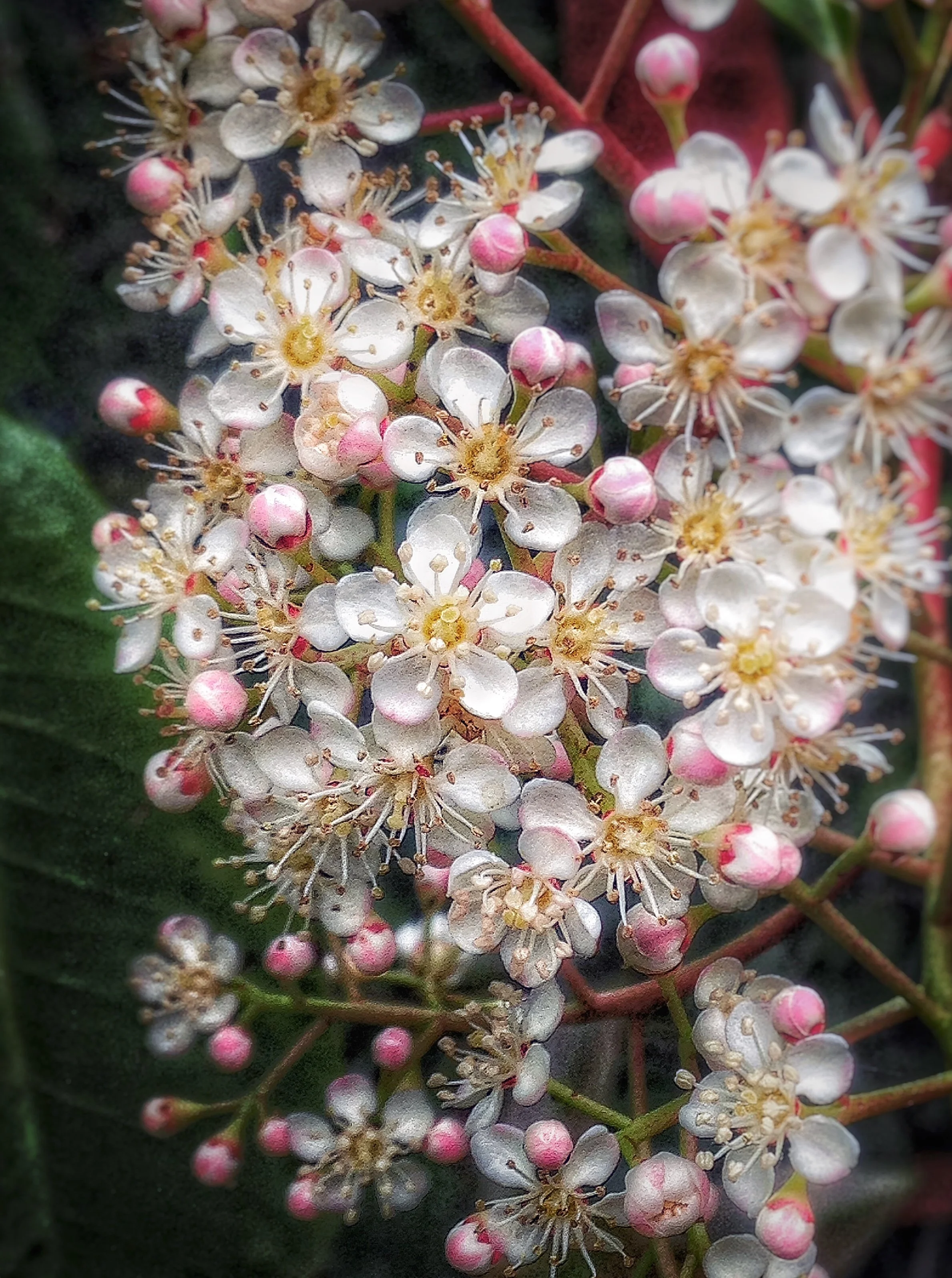 Y2_2018_12 December IMG_3048_EXPAND YOUR MIND.JPG