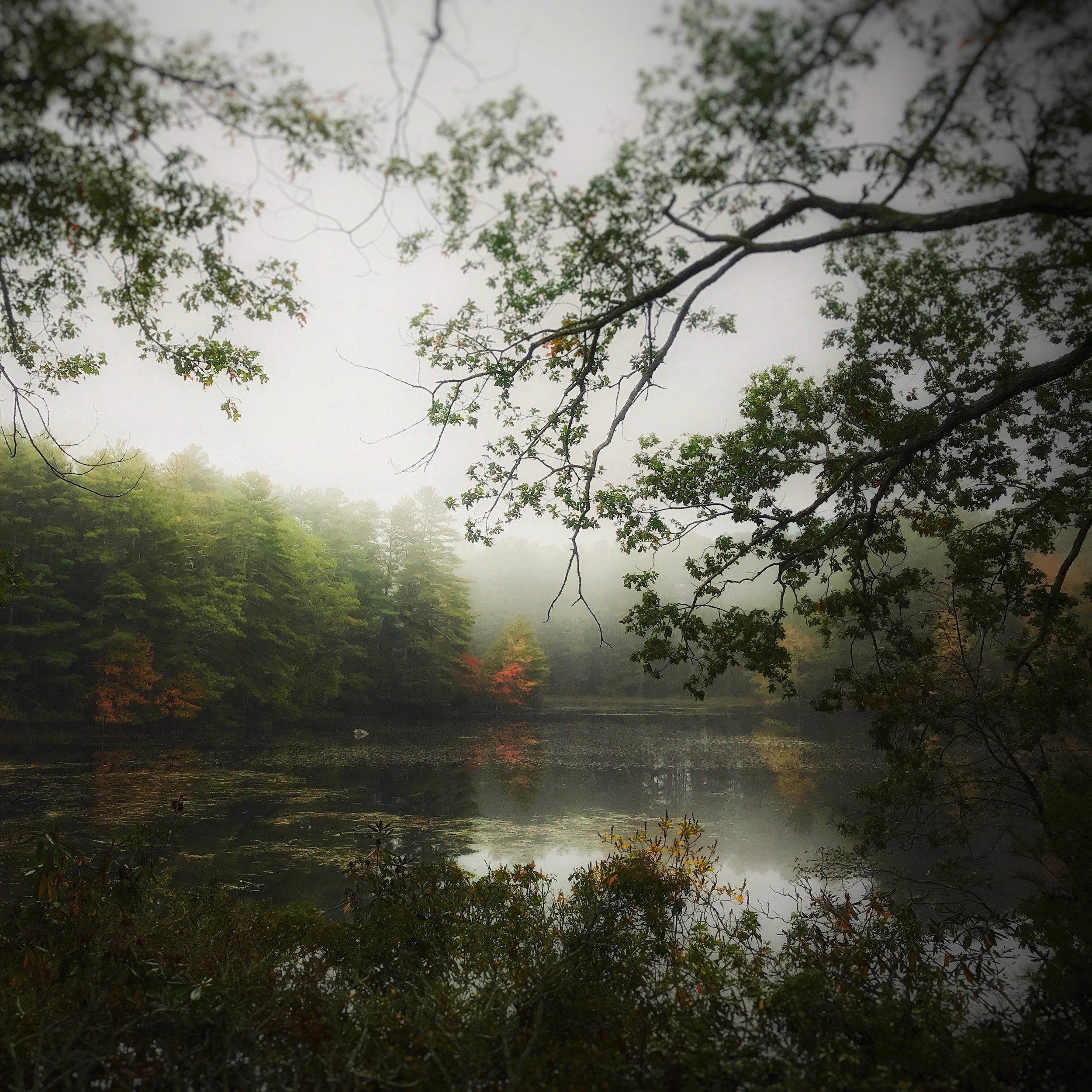 M5_2019_08_August_SOMETIMES WE HAVE TO STEP AWAY.jpg