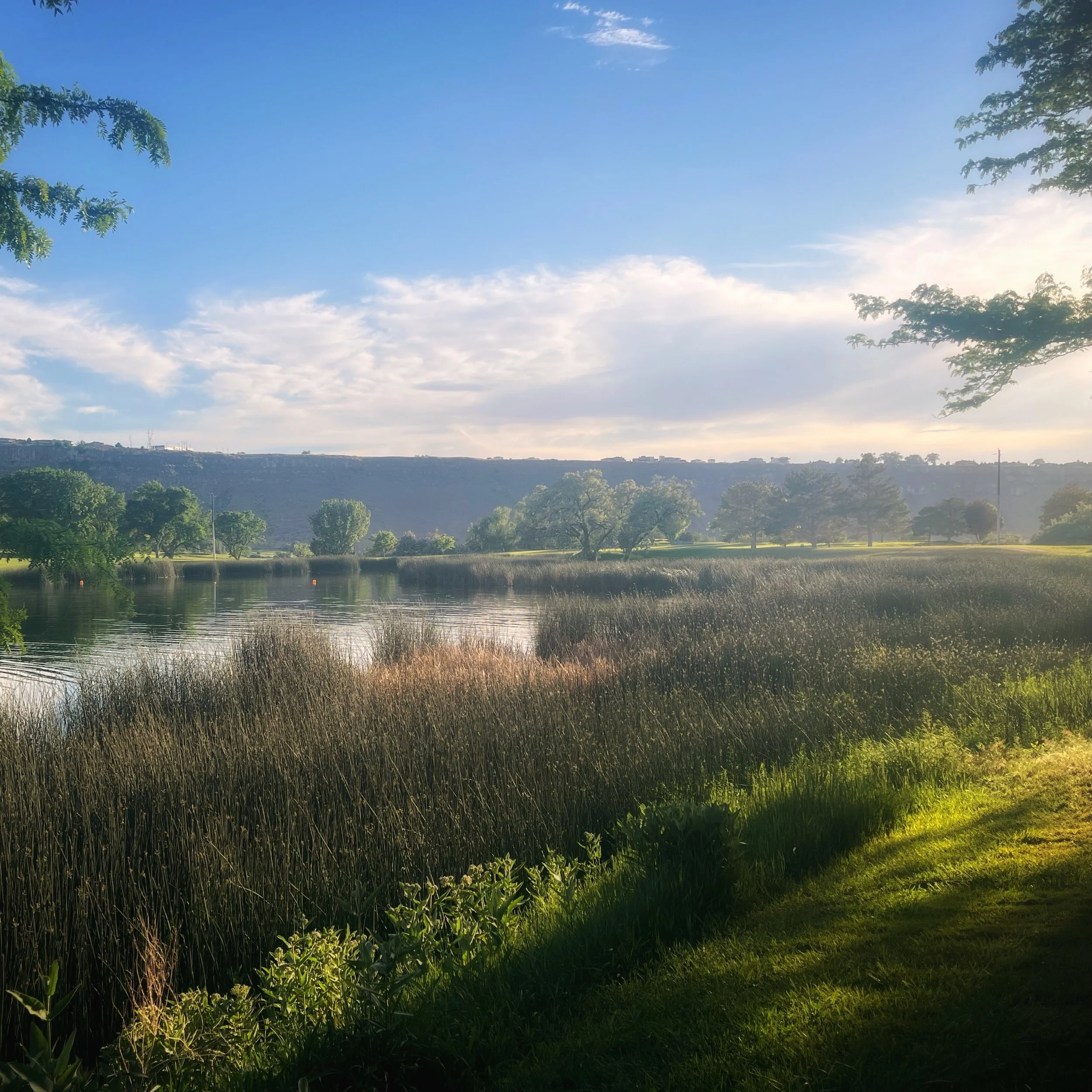 P10_June 2025_Once Upon a Time.jpeg