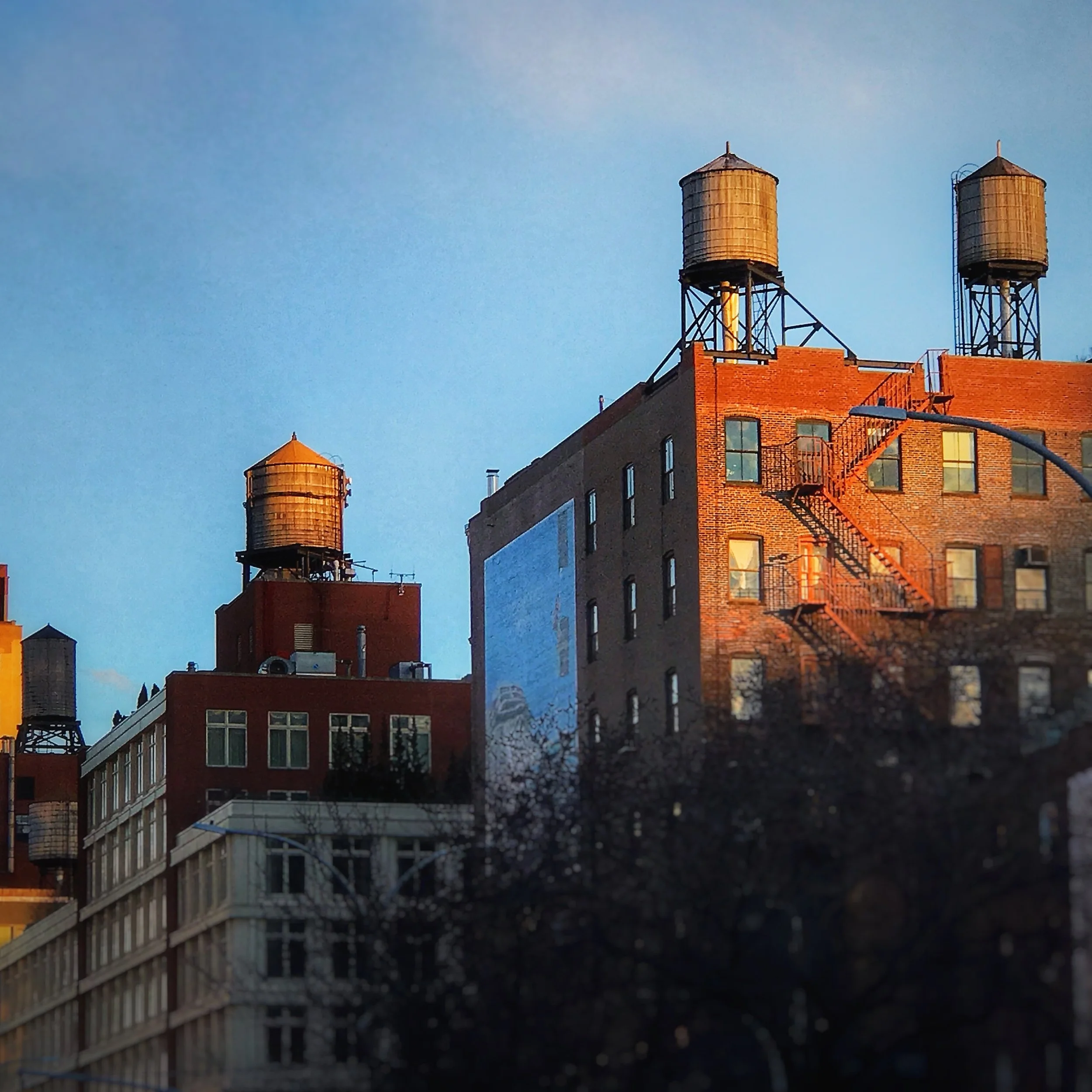 LG11_2020_08_IMG_4137_NEW FRIENDS EVERYWHERE ARE JUST WAITING TO MEET YOU.jpg